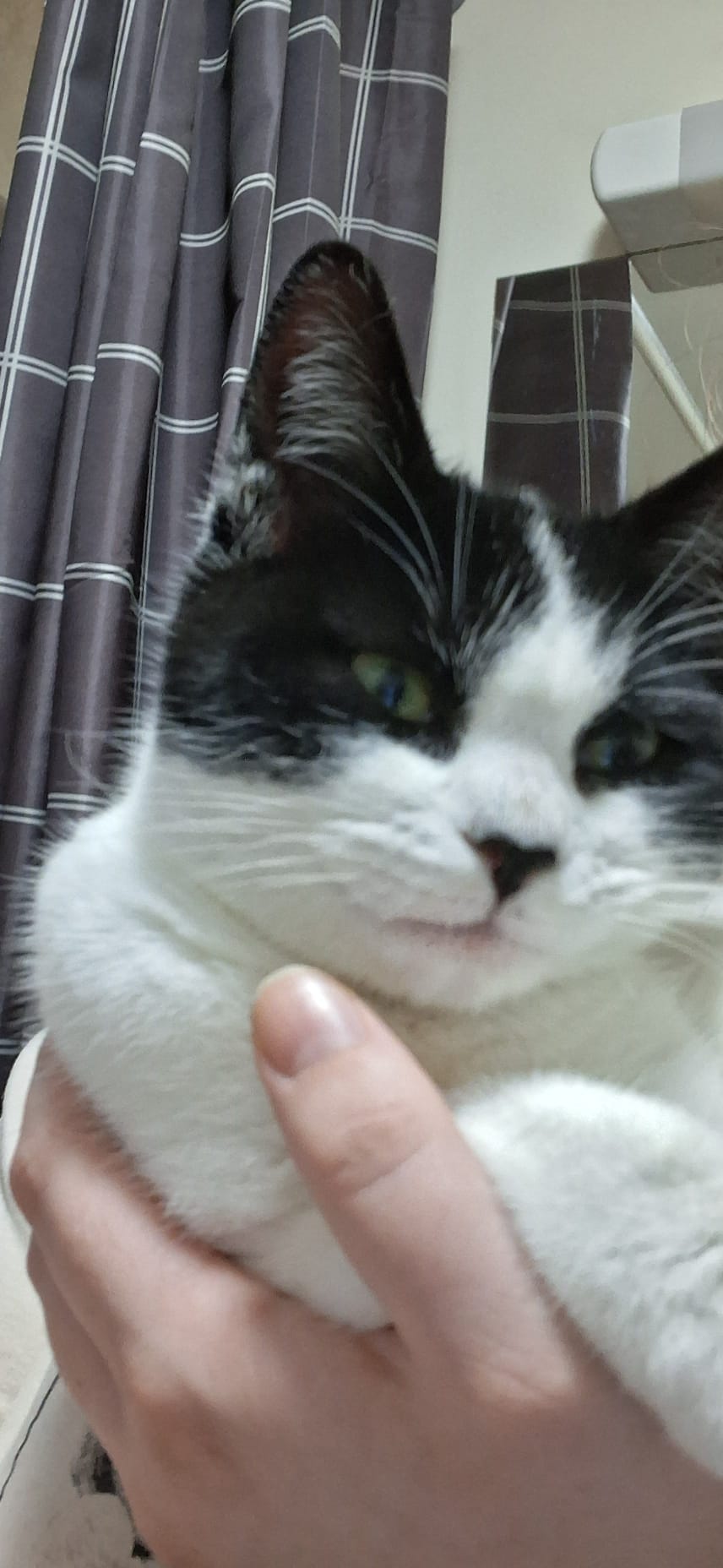 Smudge