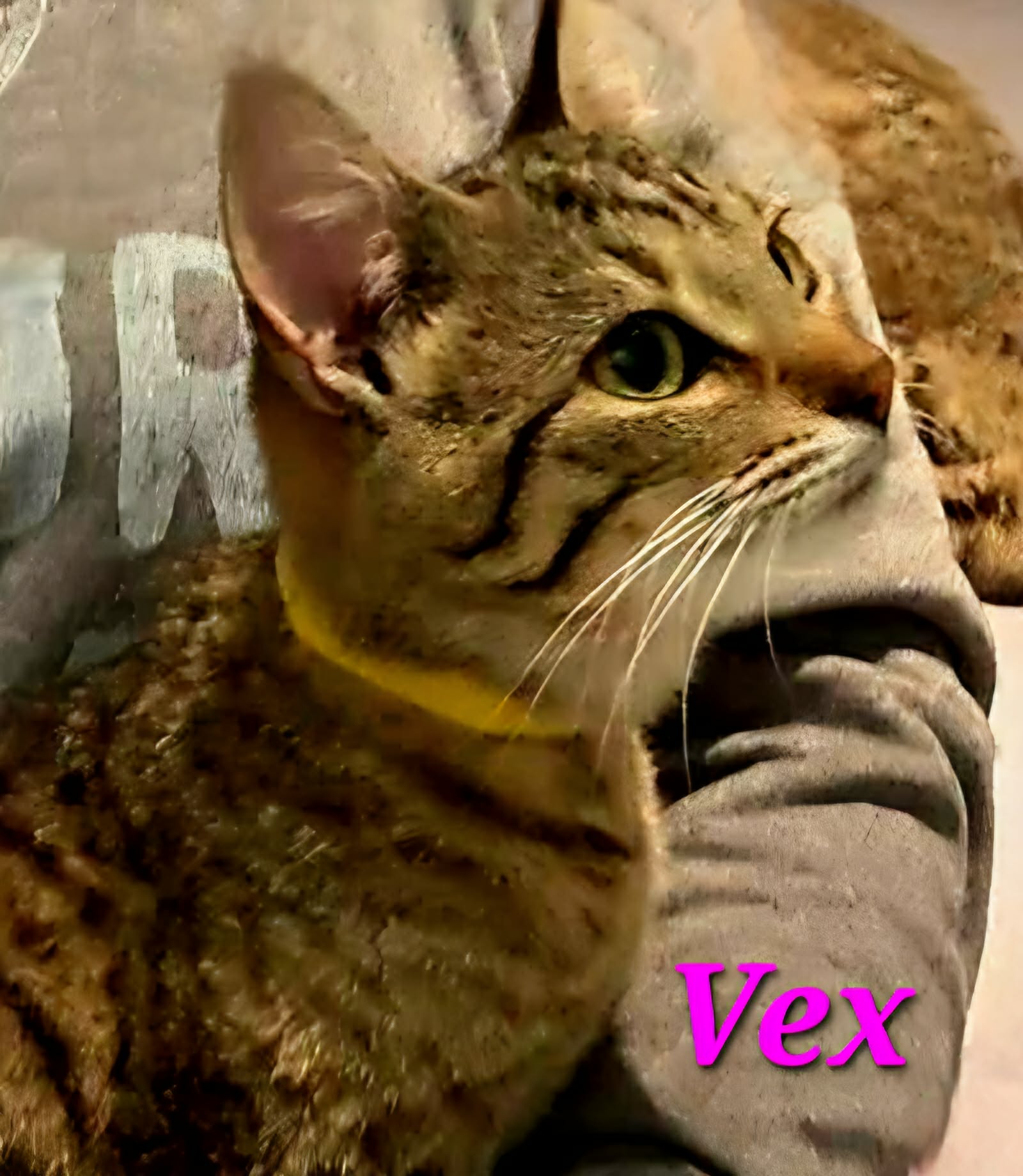 Vex