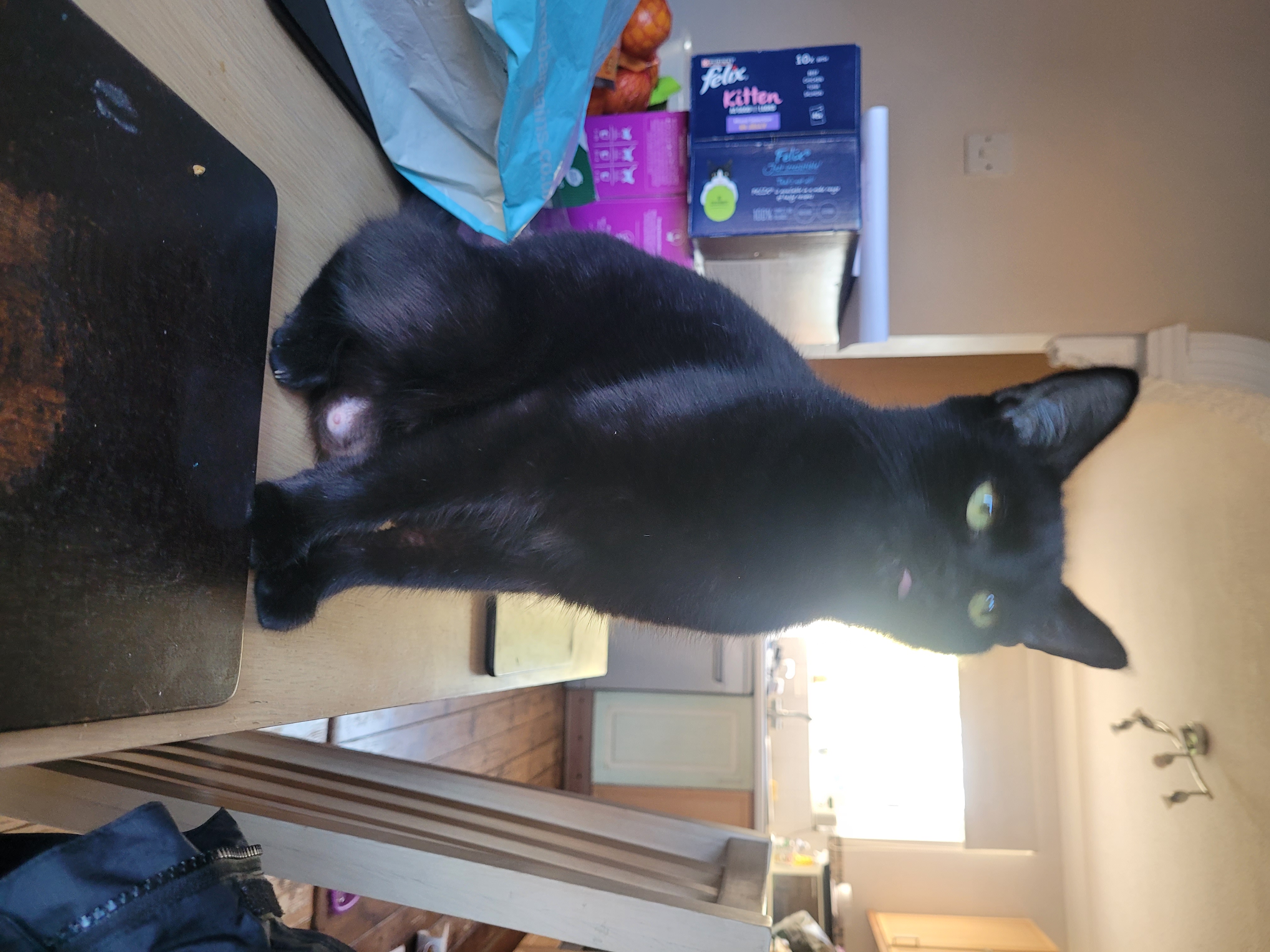 Suki