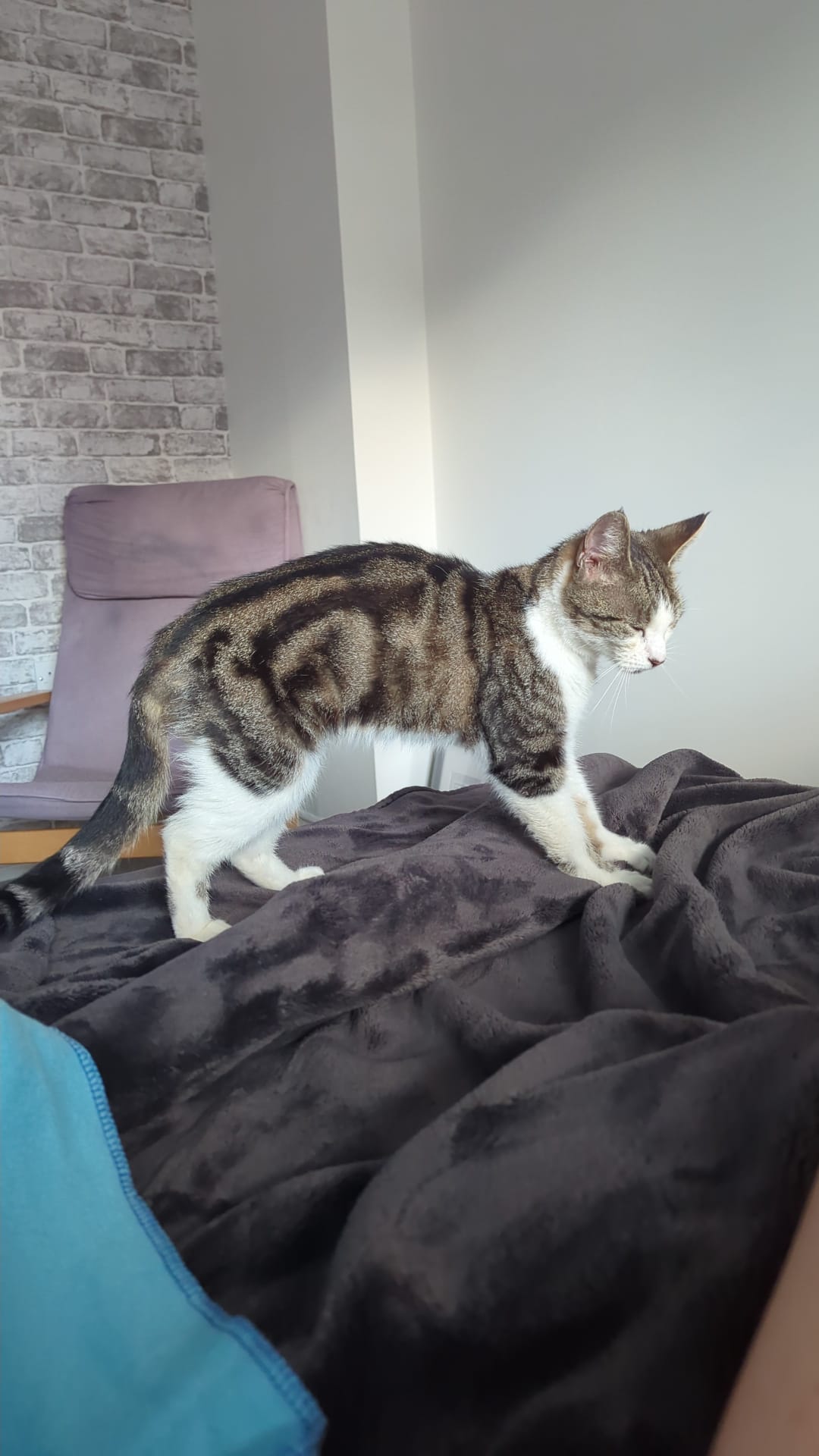 Mimi