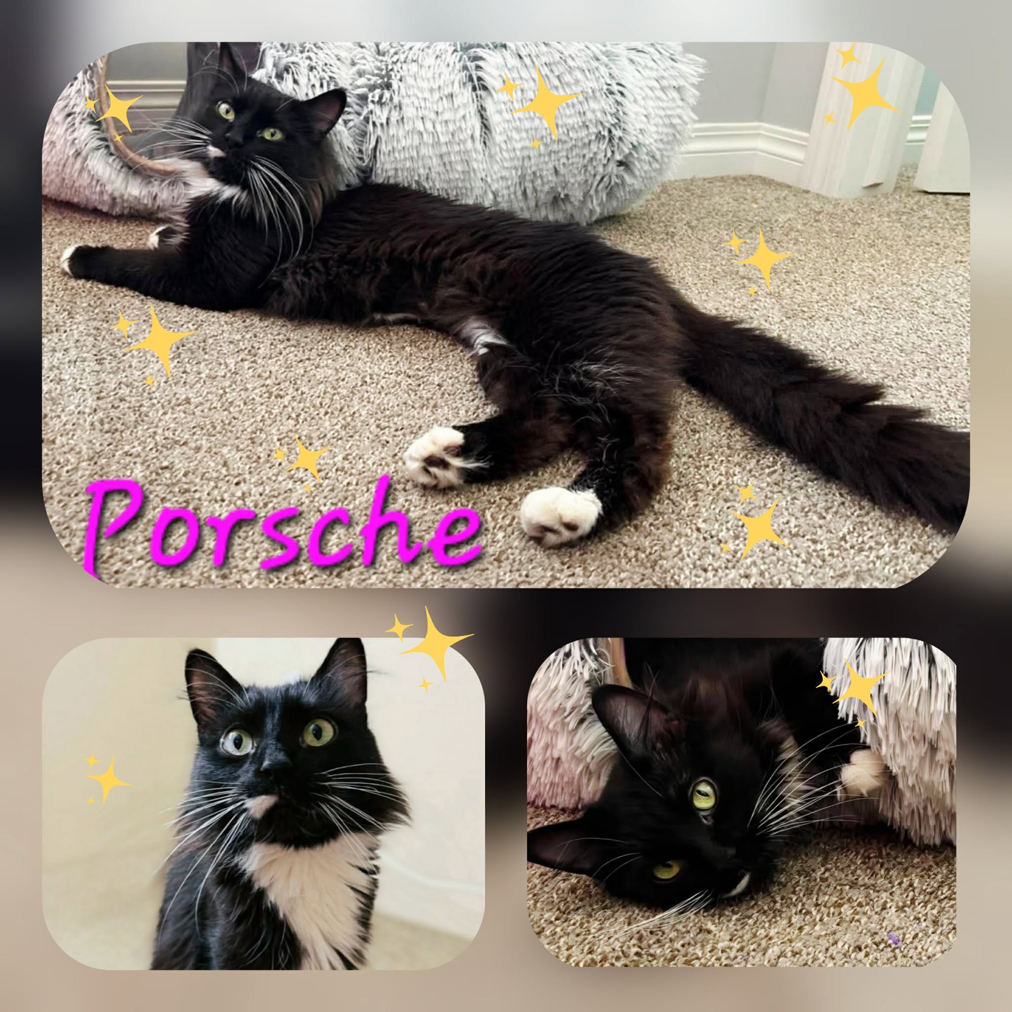 Porsche fka Porch