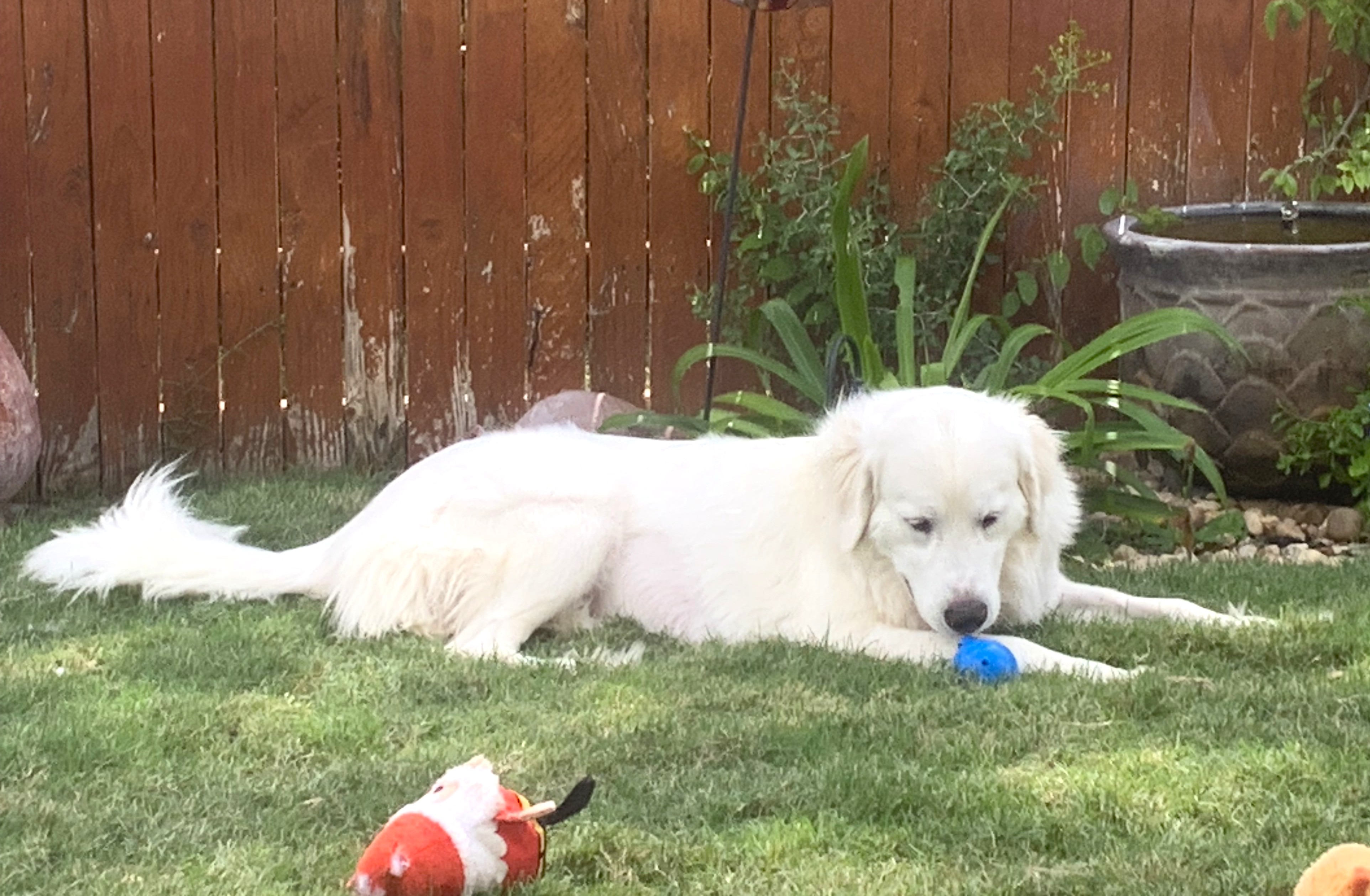 Delilah