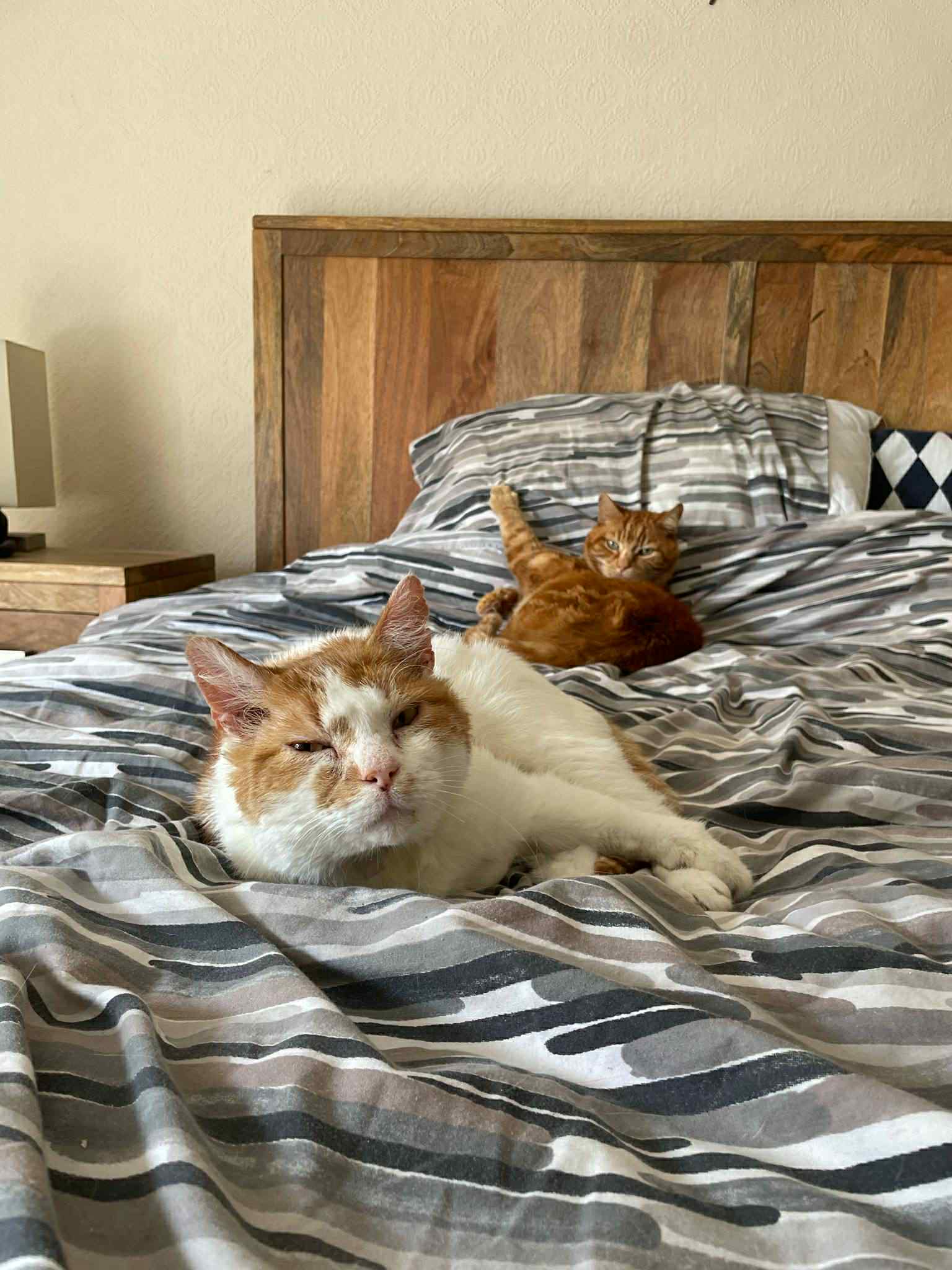Franco