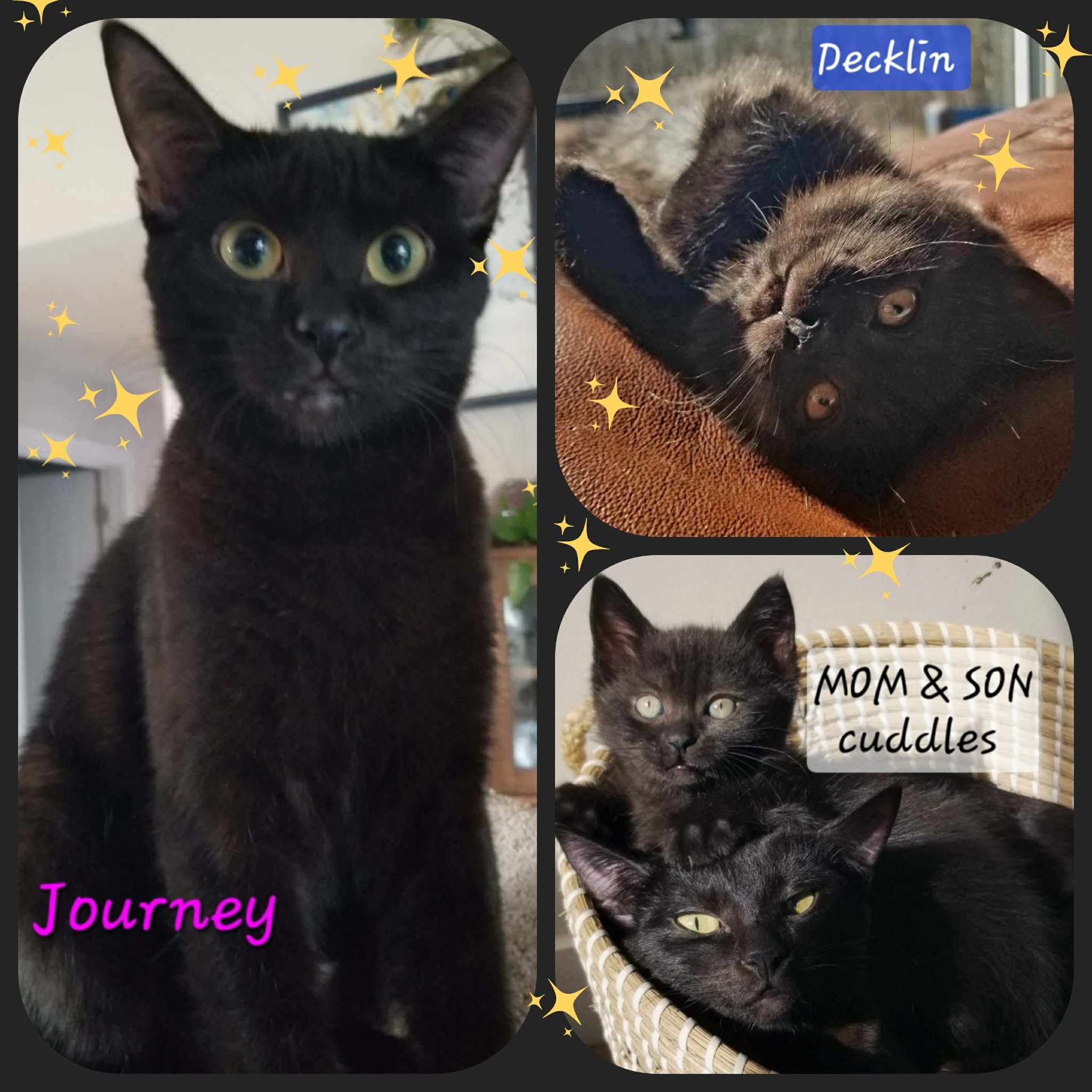 Journey mom