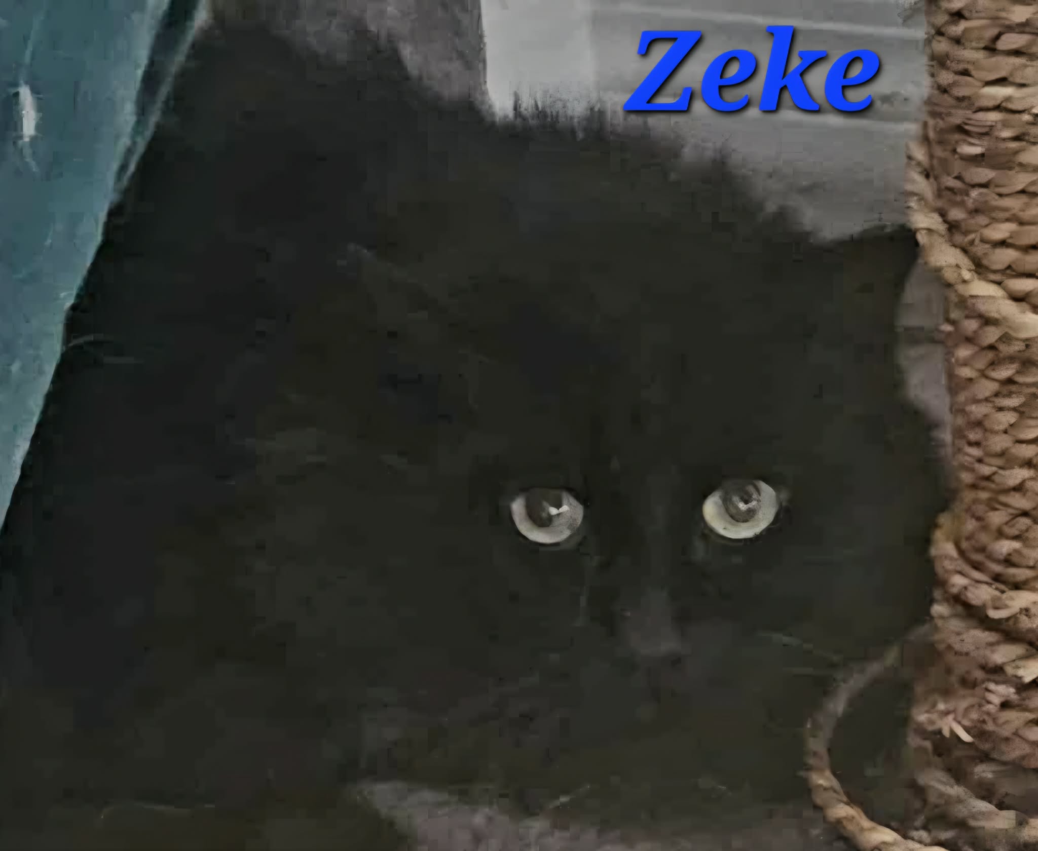Zeke