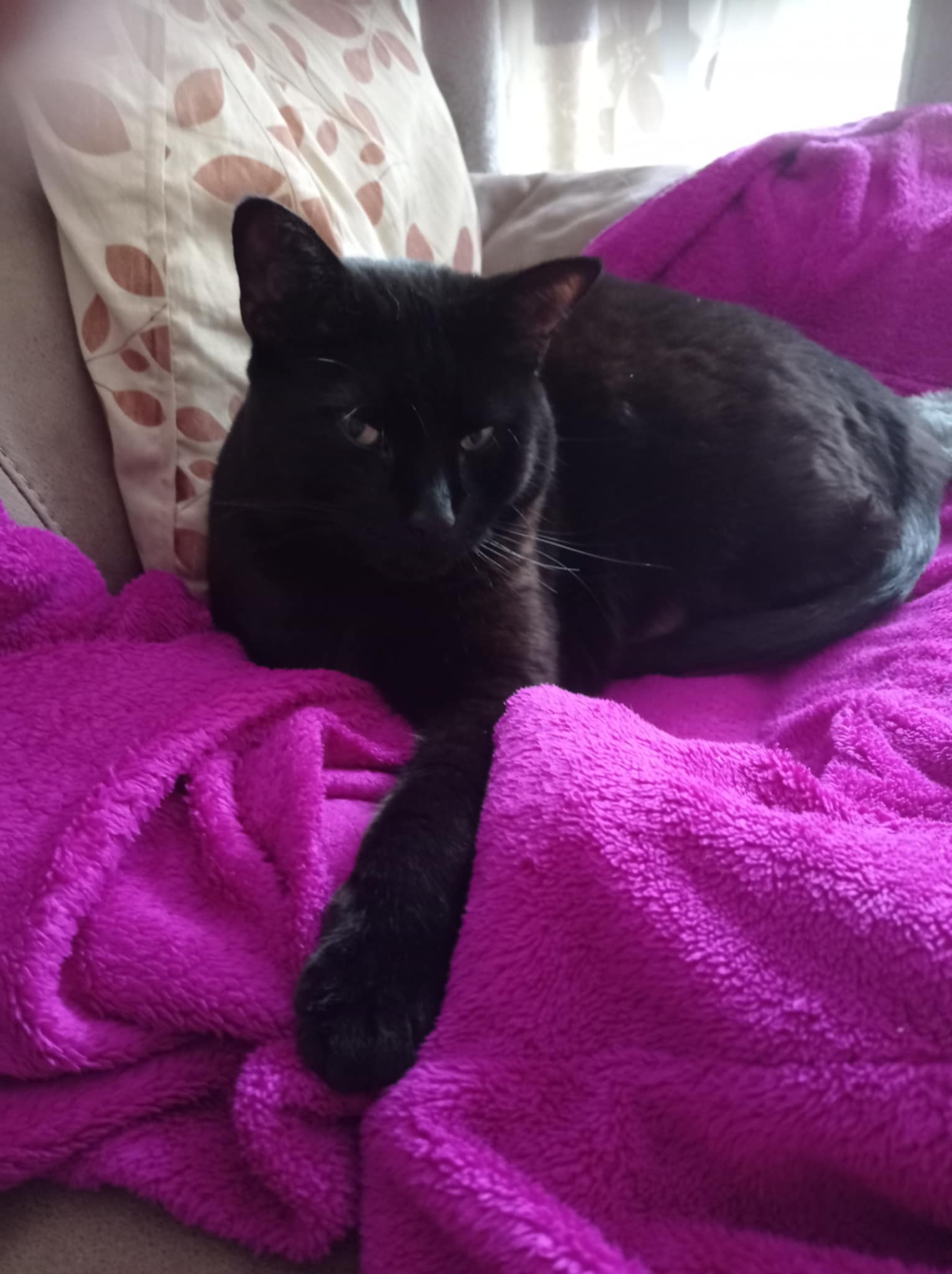 Loki