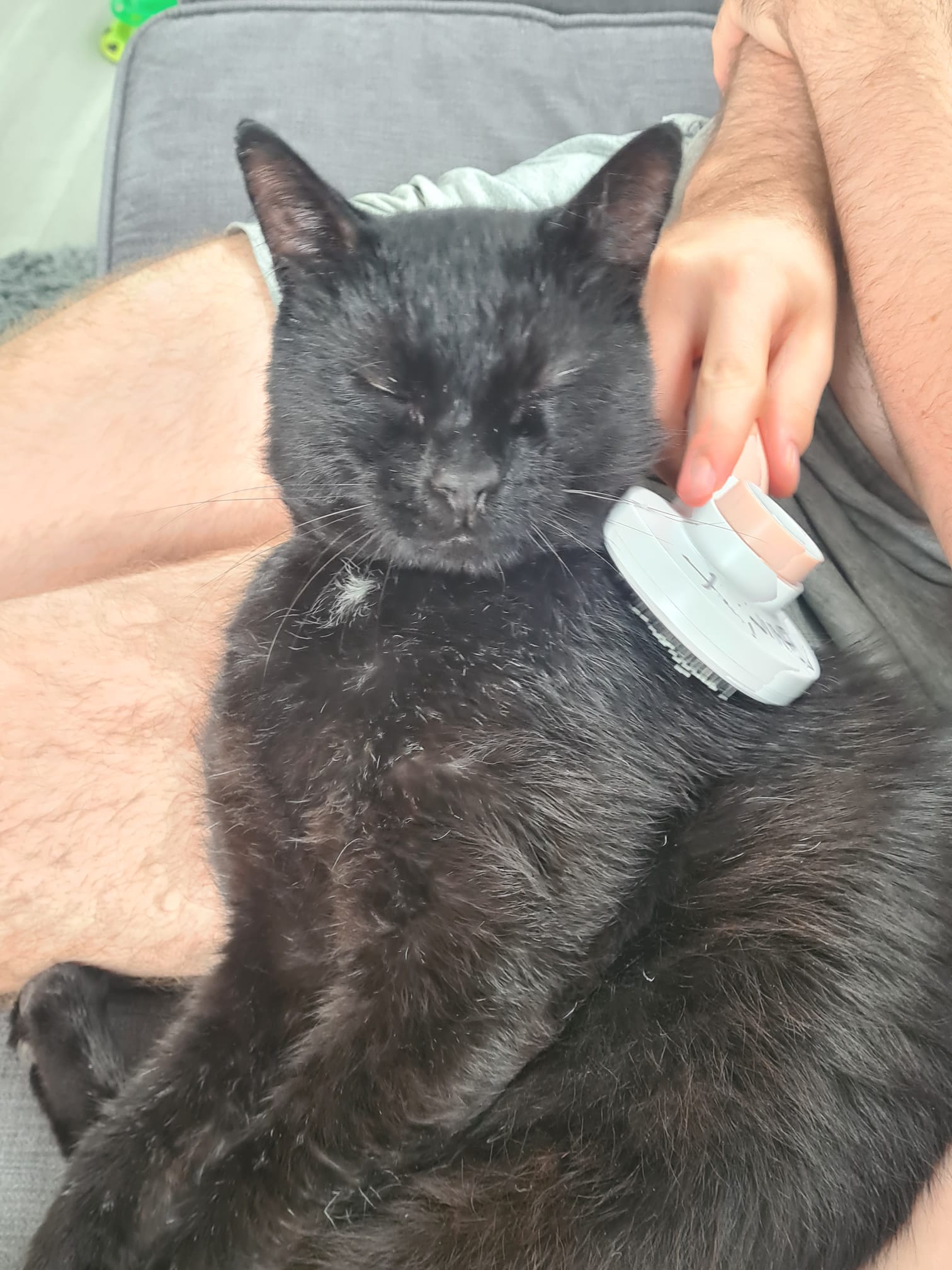 Binx