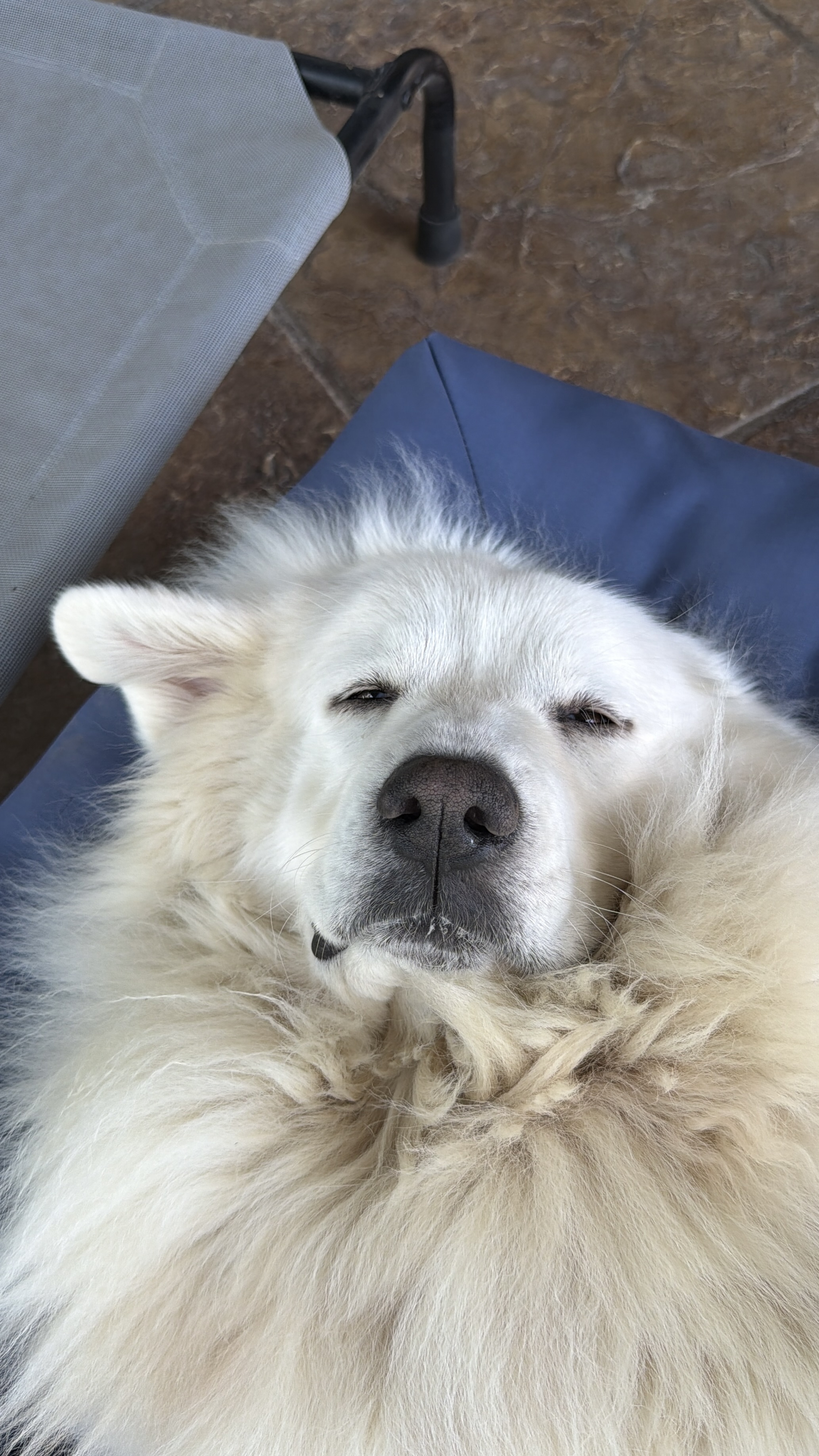 Lumi