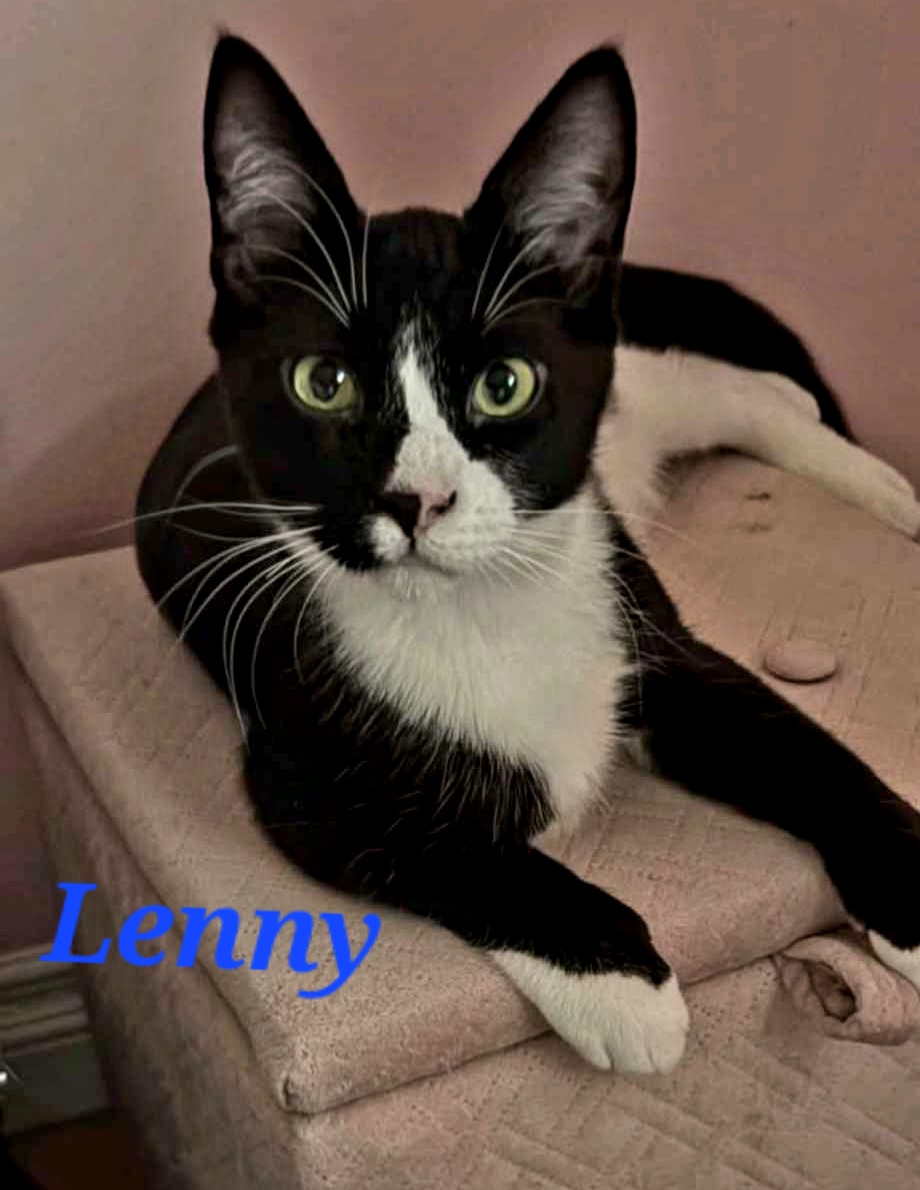 Lenny