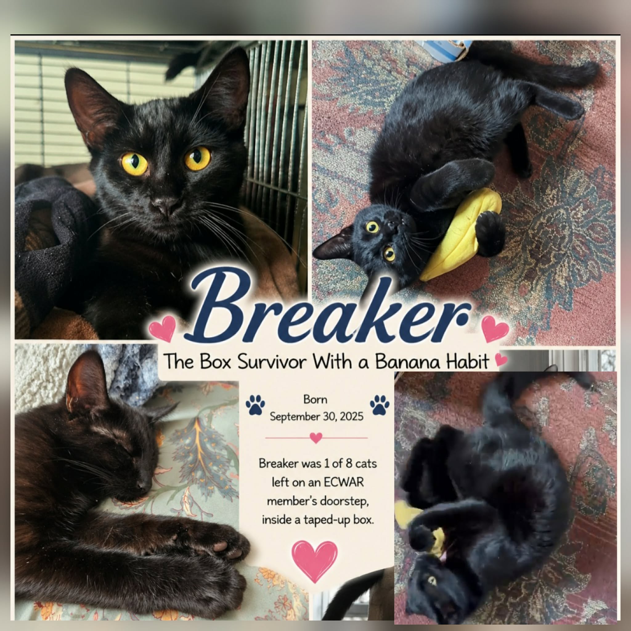 Breaker