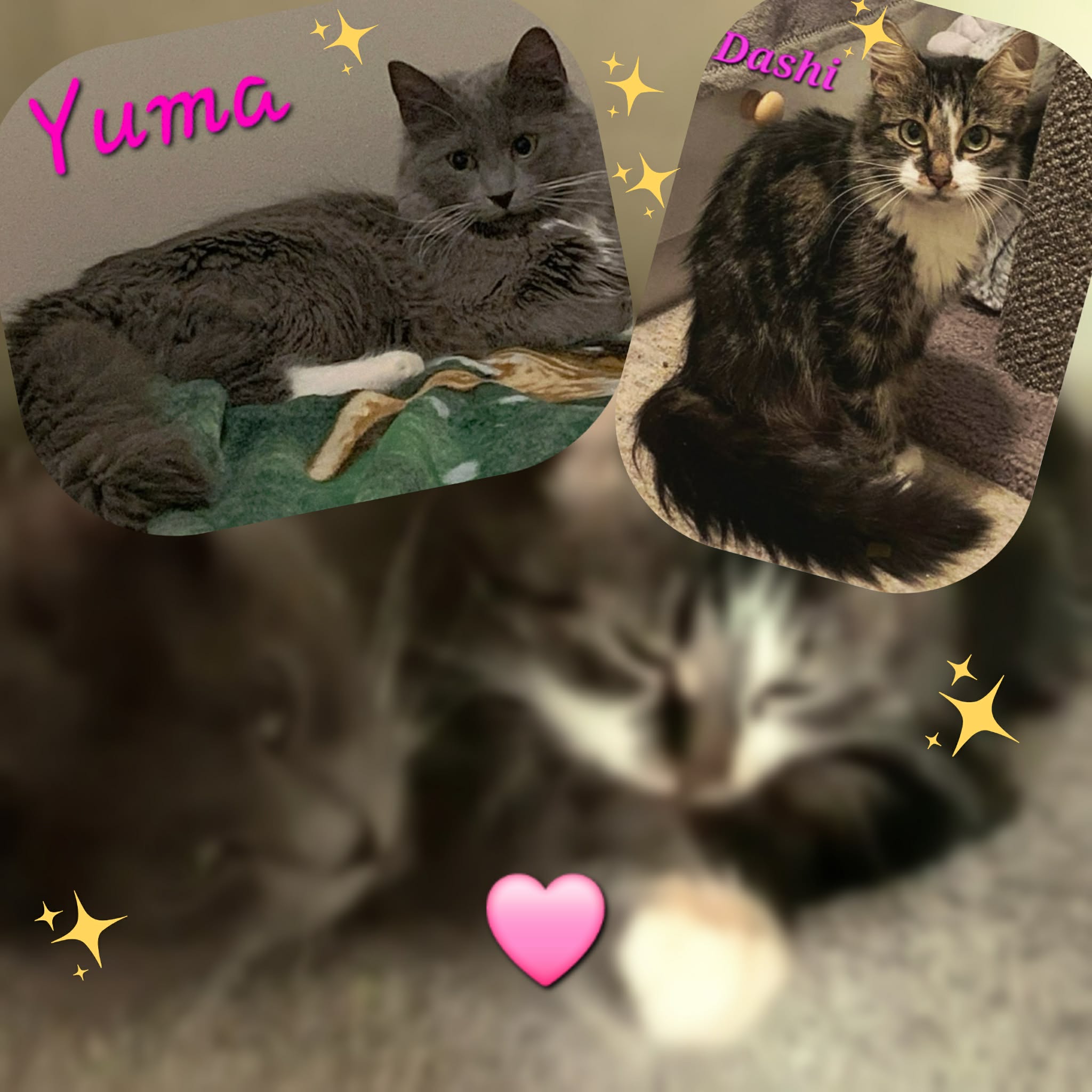  Yuma