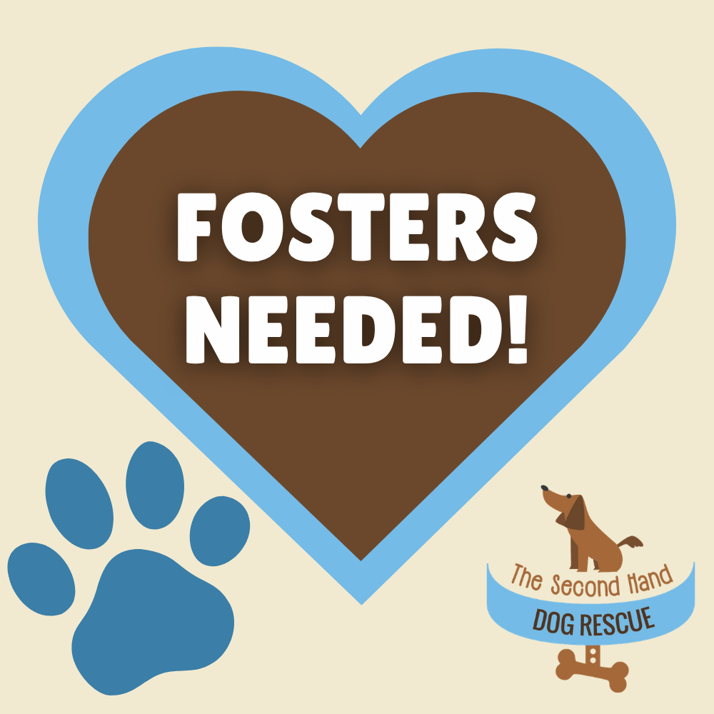 Fosters Needed
