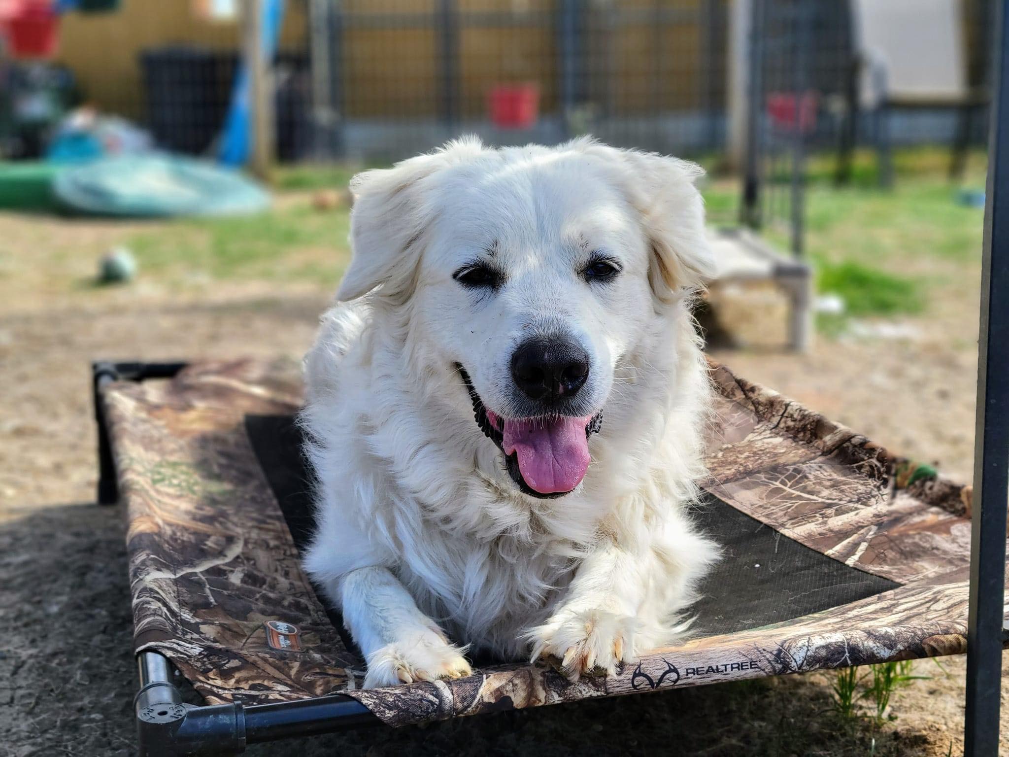 Zoey Yvette AKA Findley