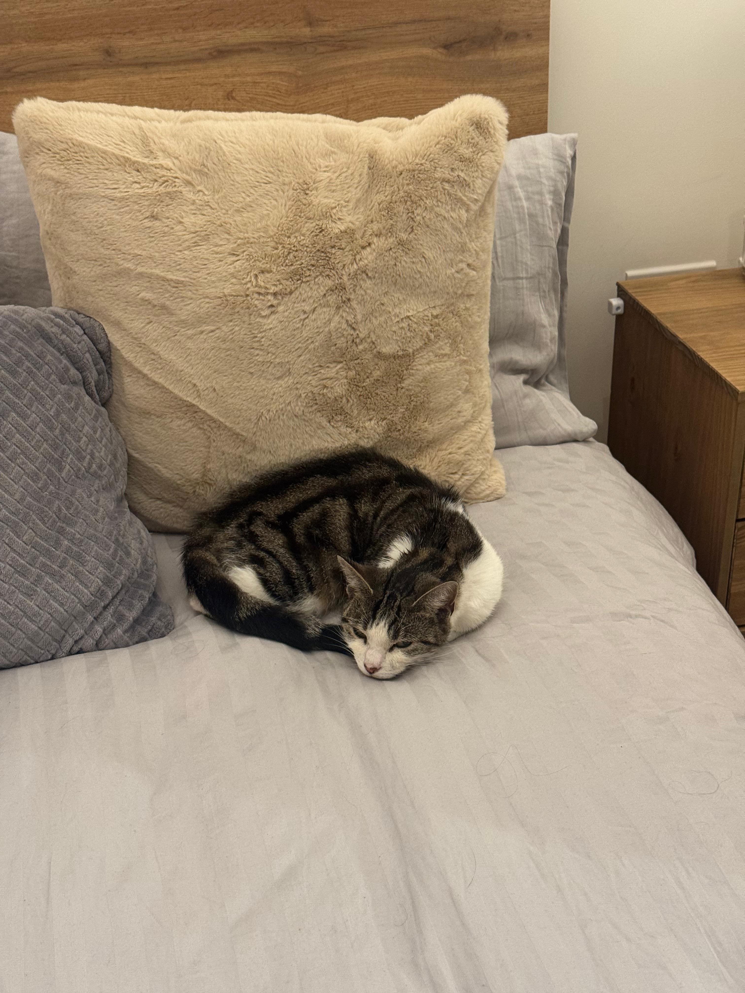 Mimi