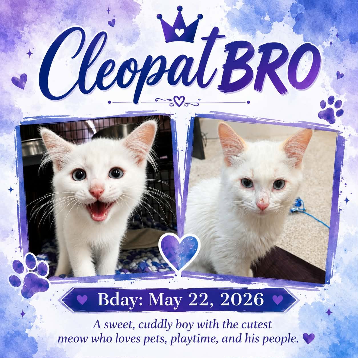 CleopatBRO FKA Cleopatra