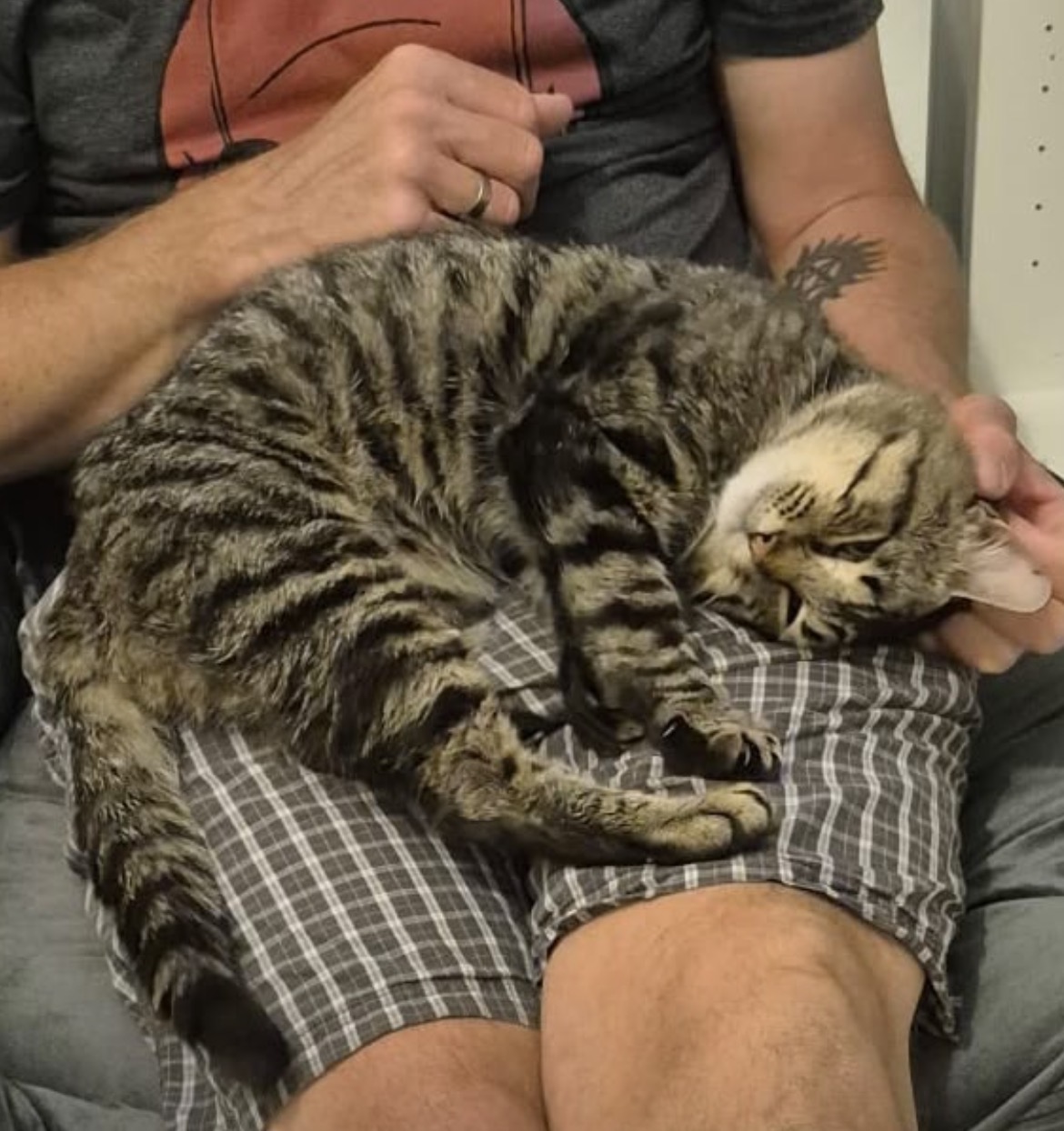 Dougie 