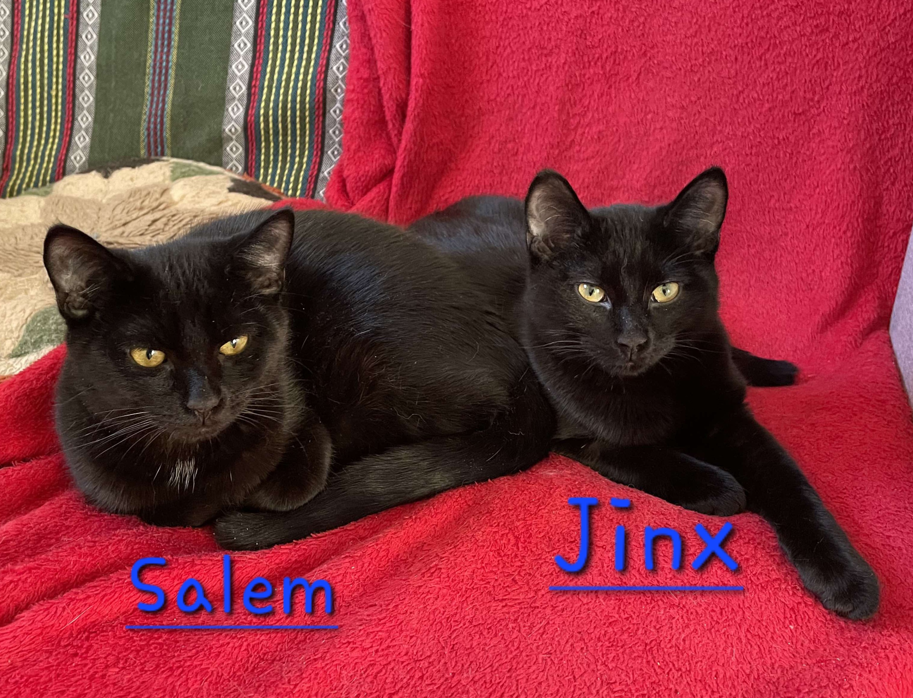 Jinx