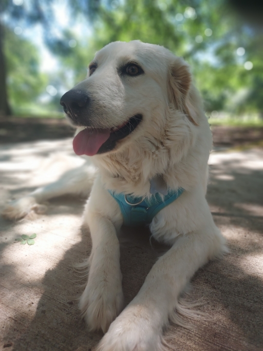 Chloe