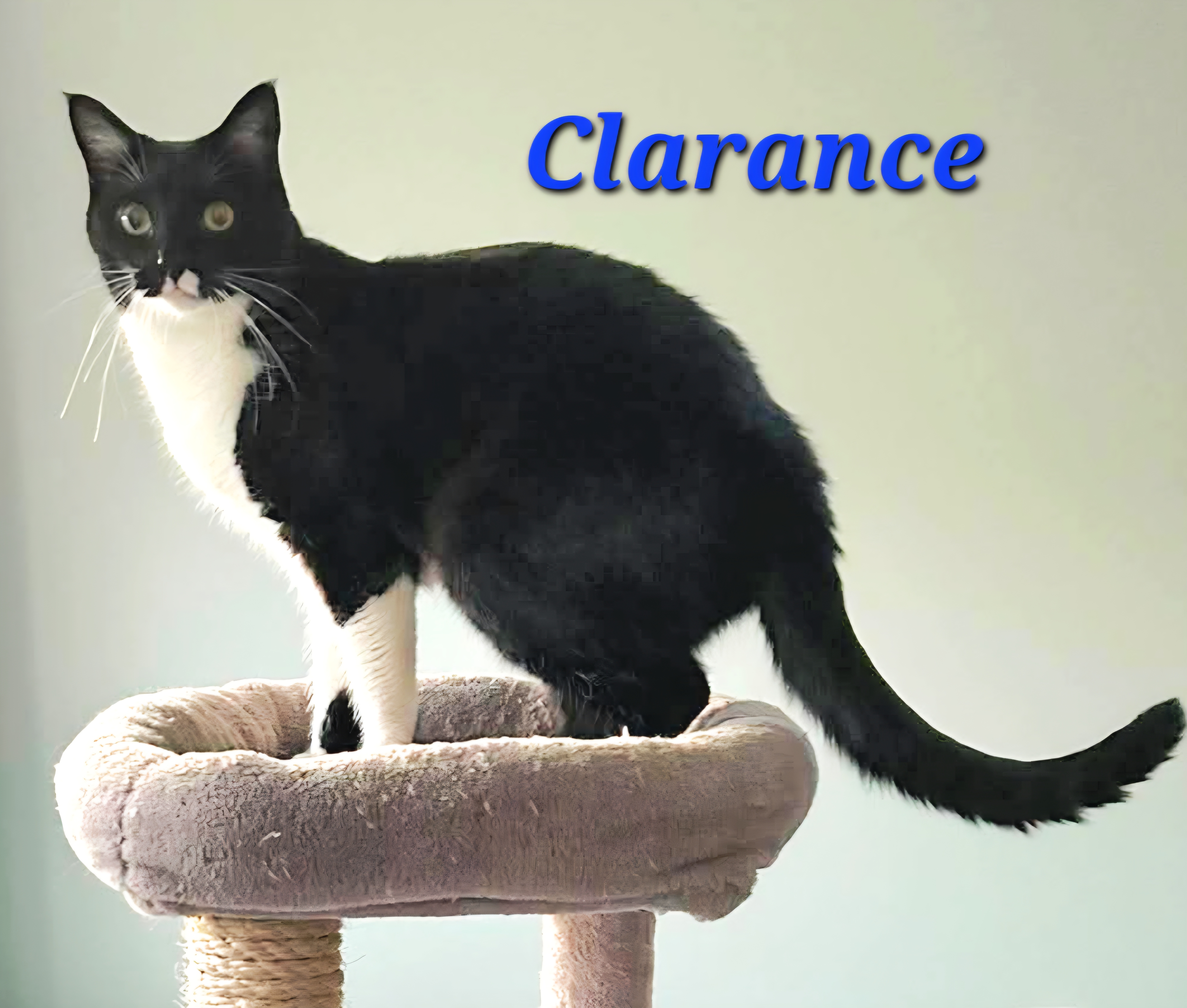 Clarance