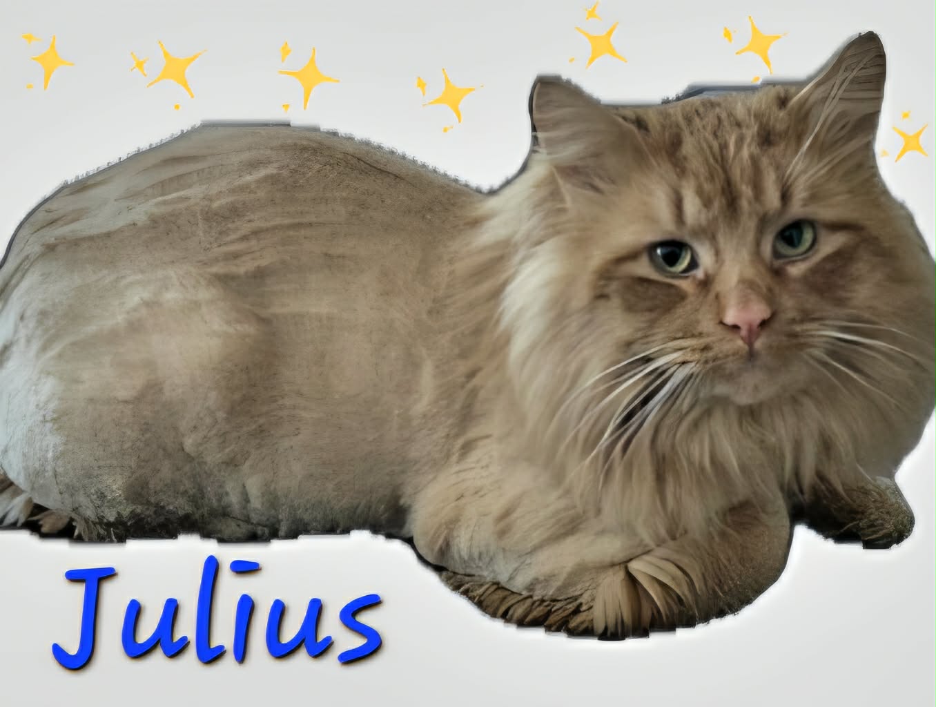 Julius