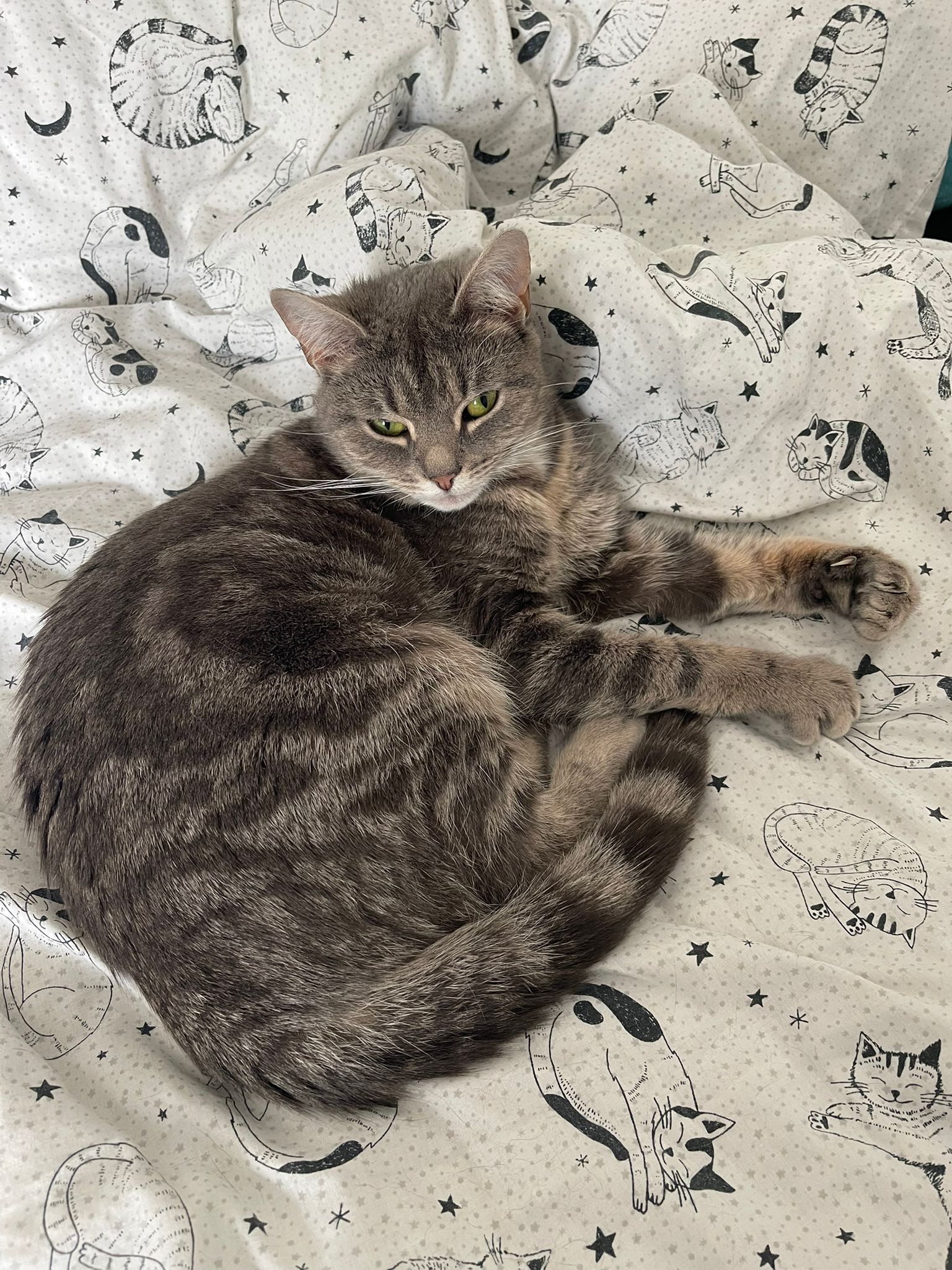 Luna
