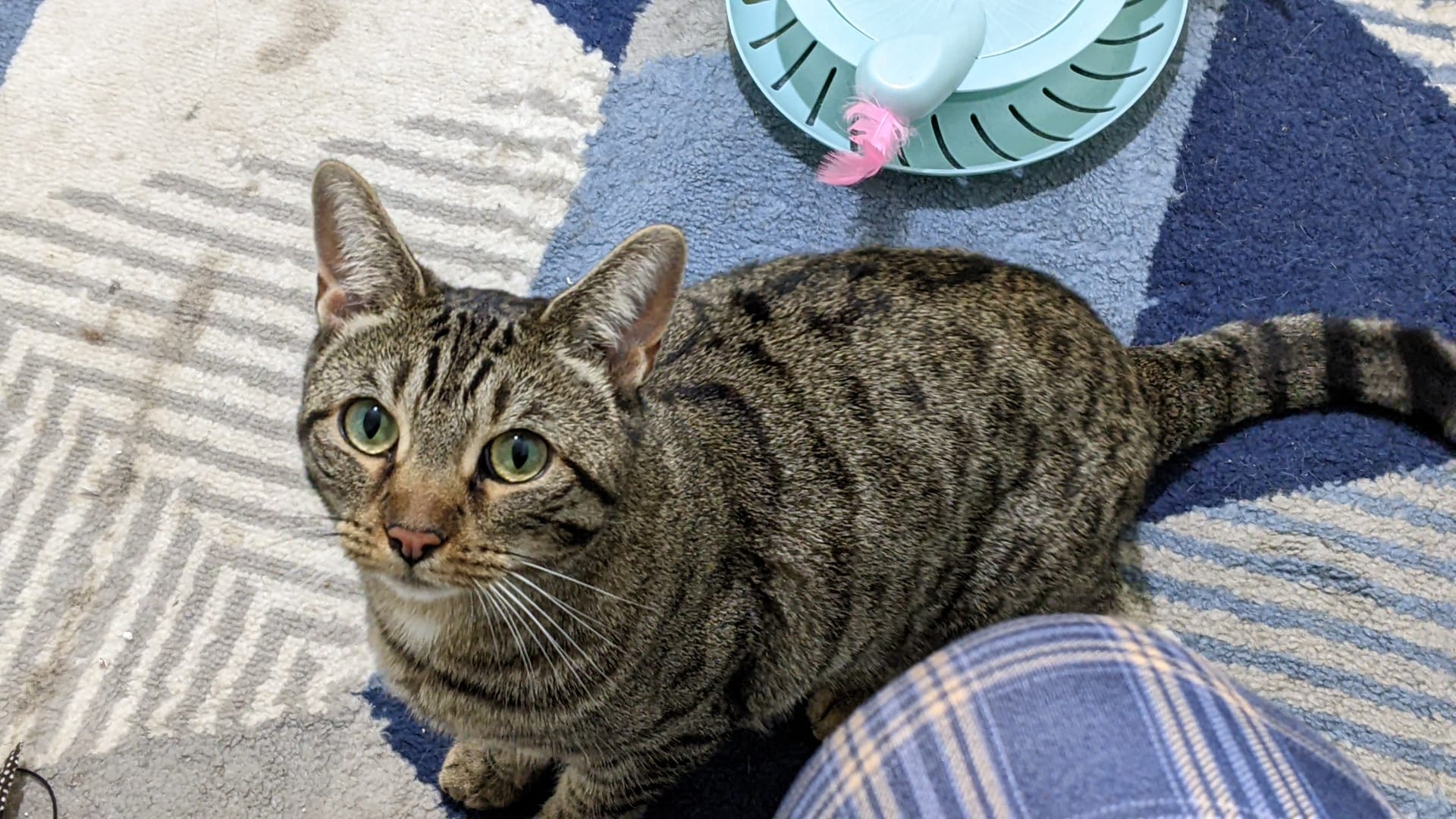 Luna