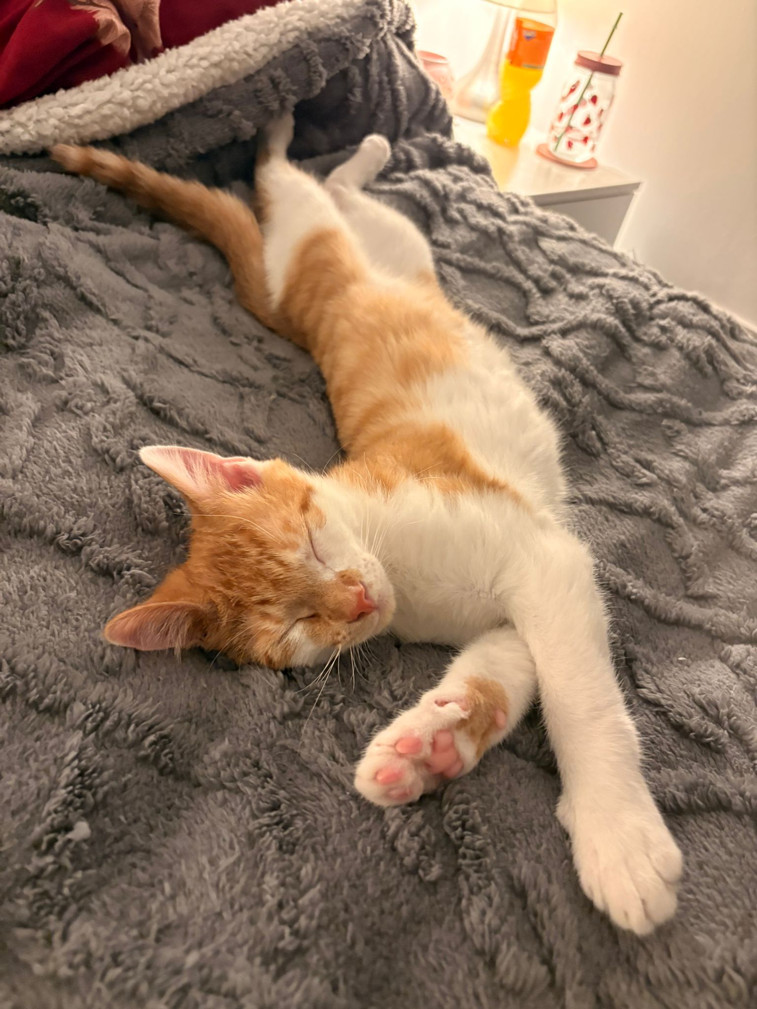 Sebastian