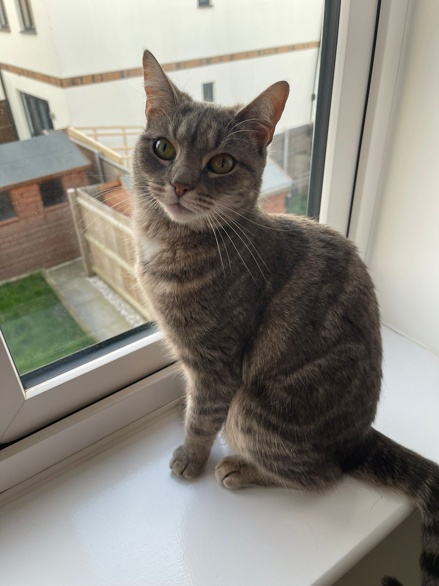 Luna