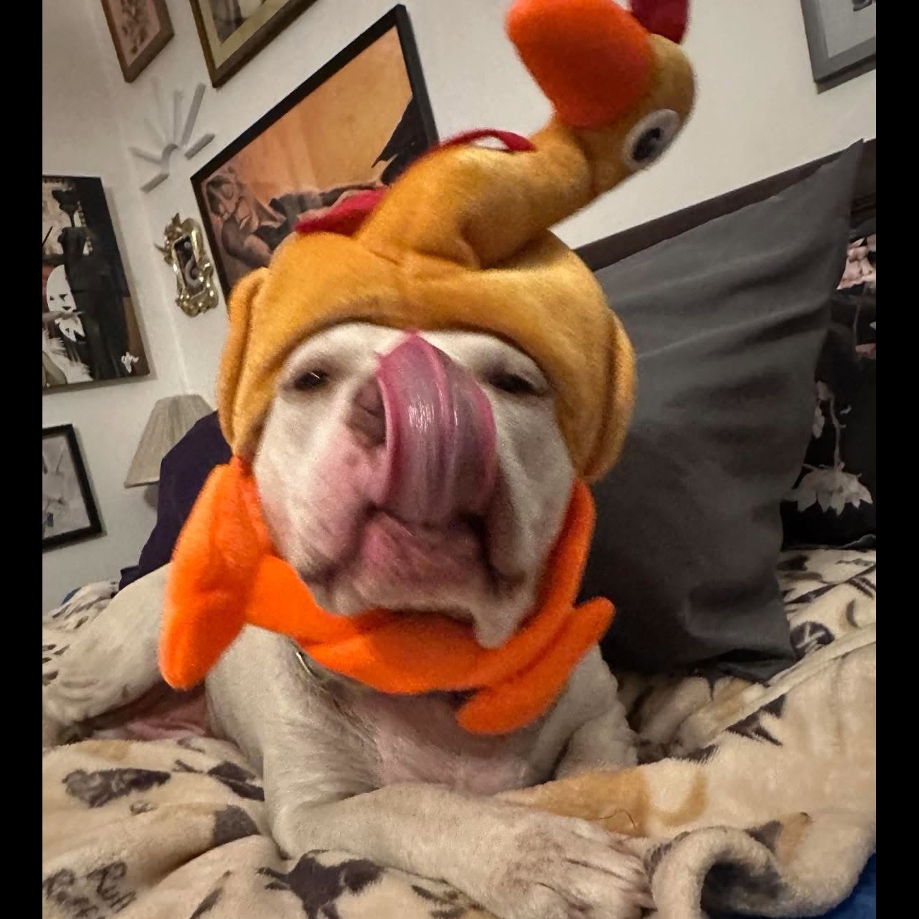 Bowie