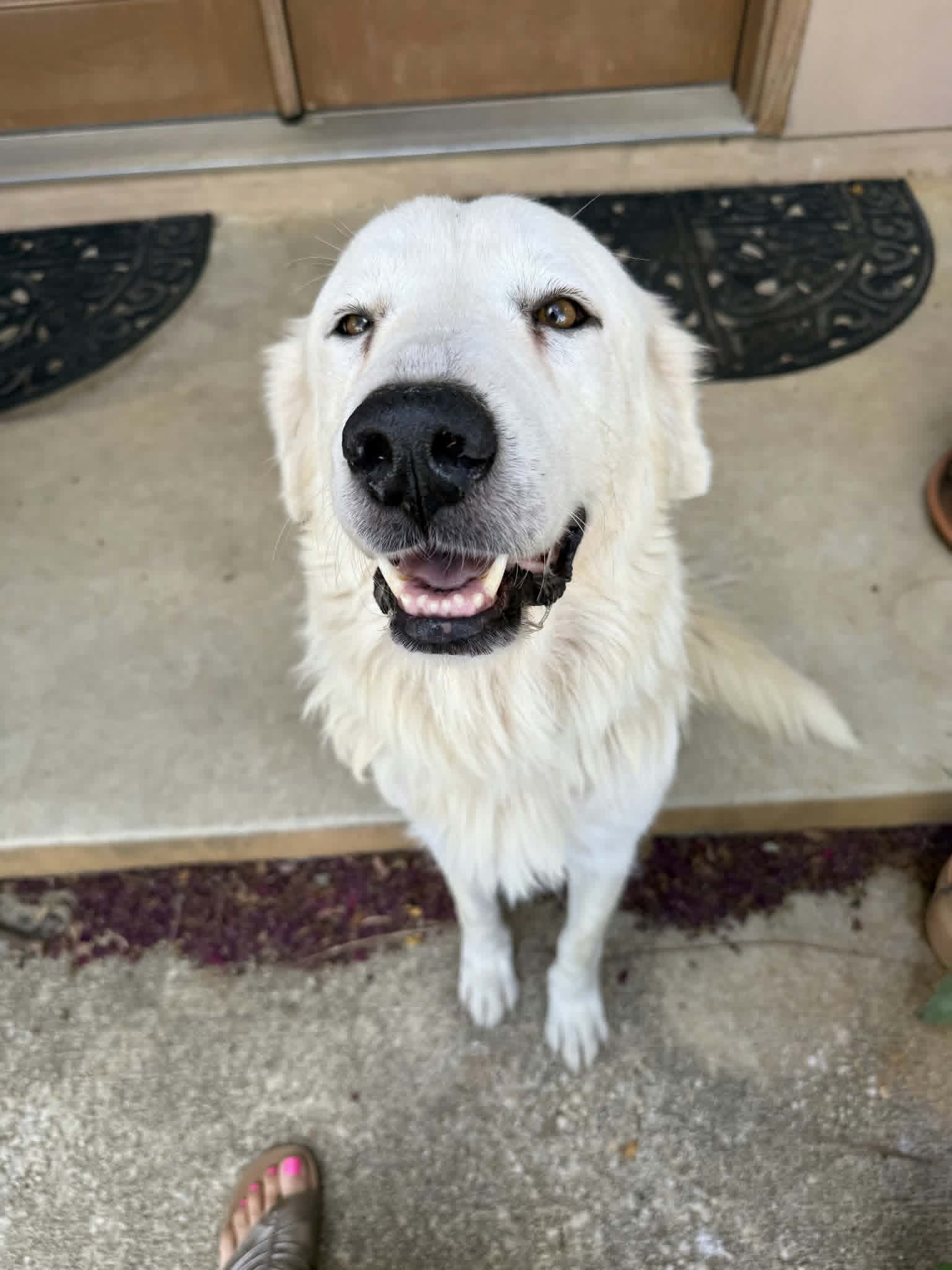 Elinor