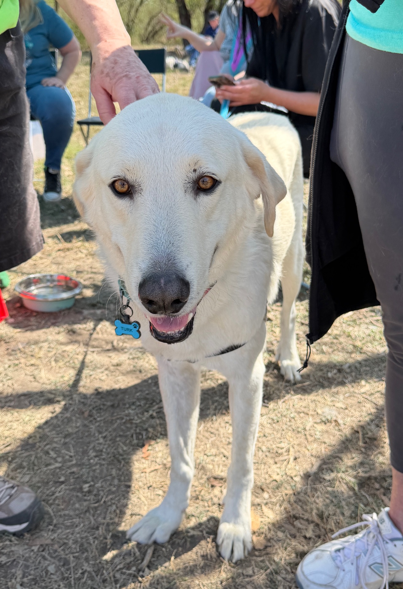 Jelly Roll, the Sweetest