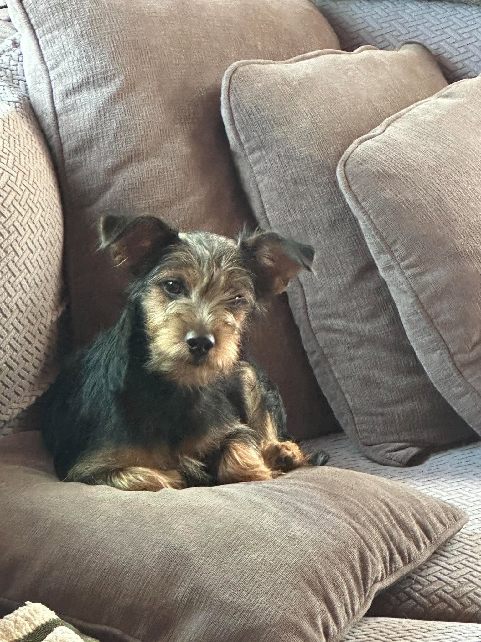 Rita