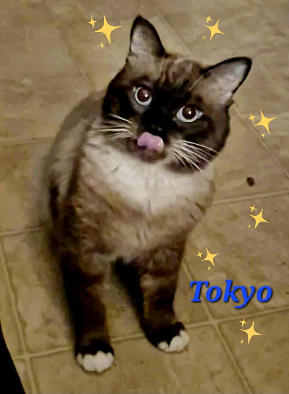 Tokyo