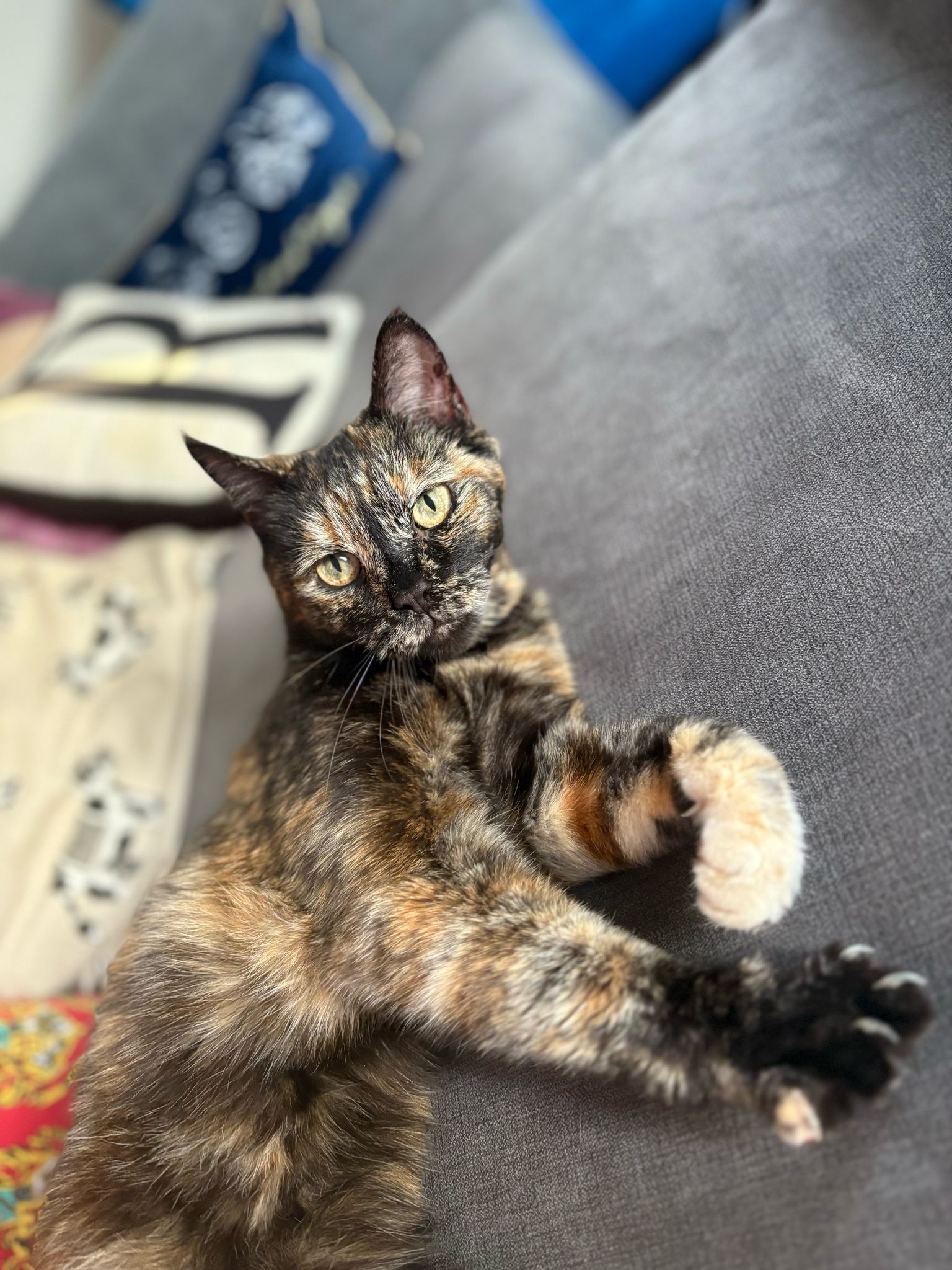 Ellie
