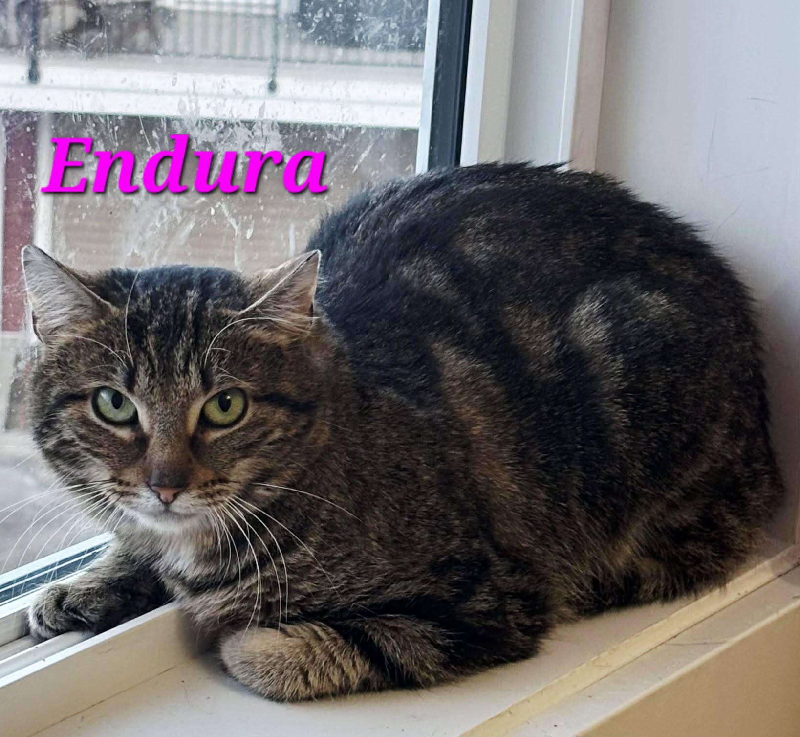 Endura