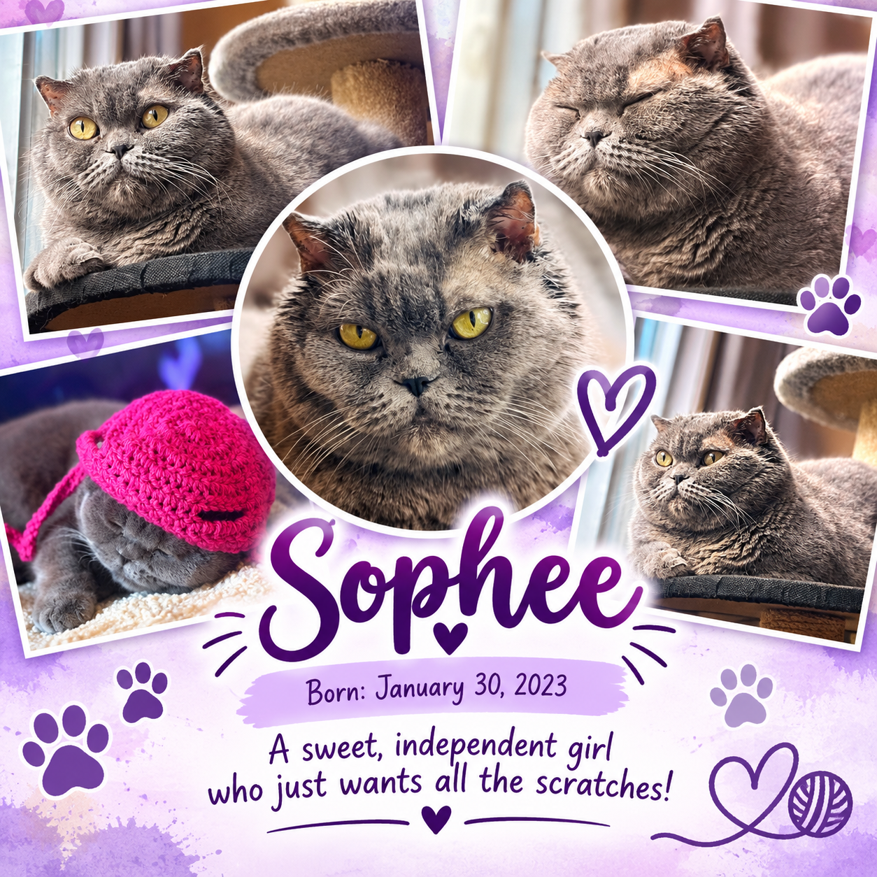 Sophee