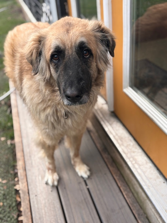 Alma