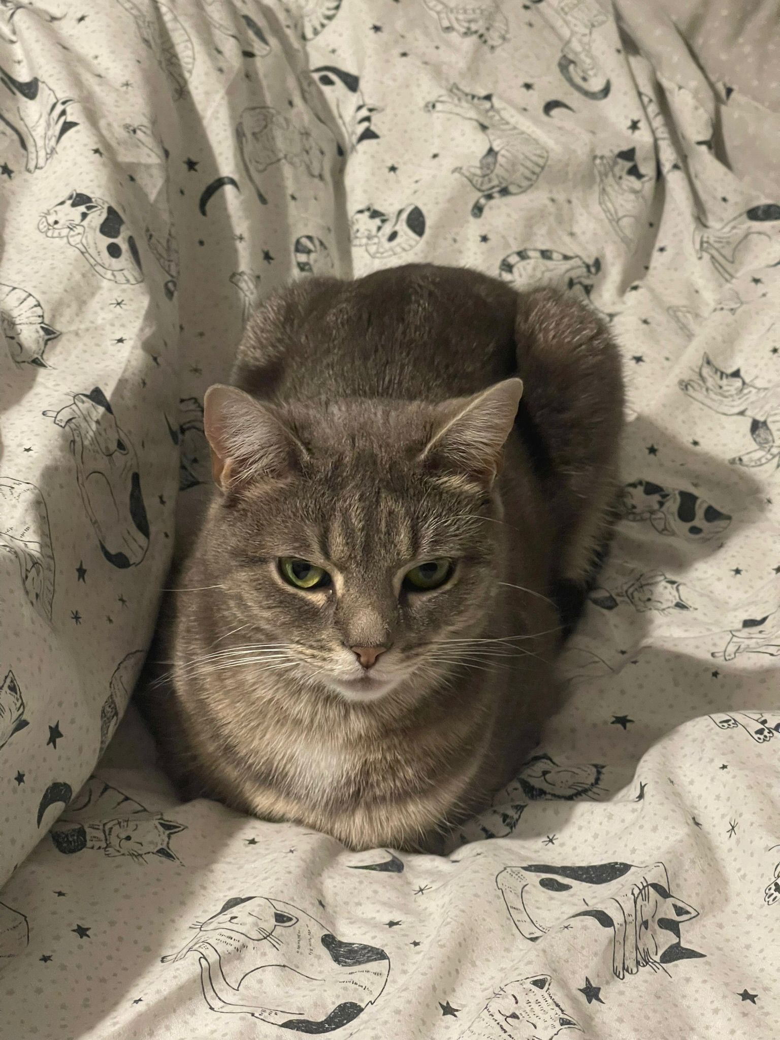 Luna
