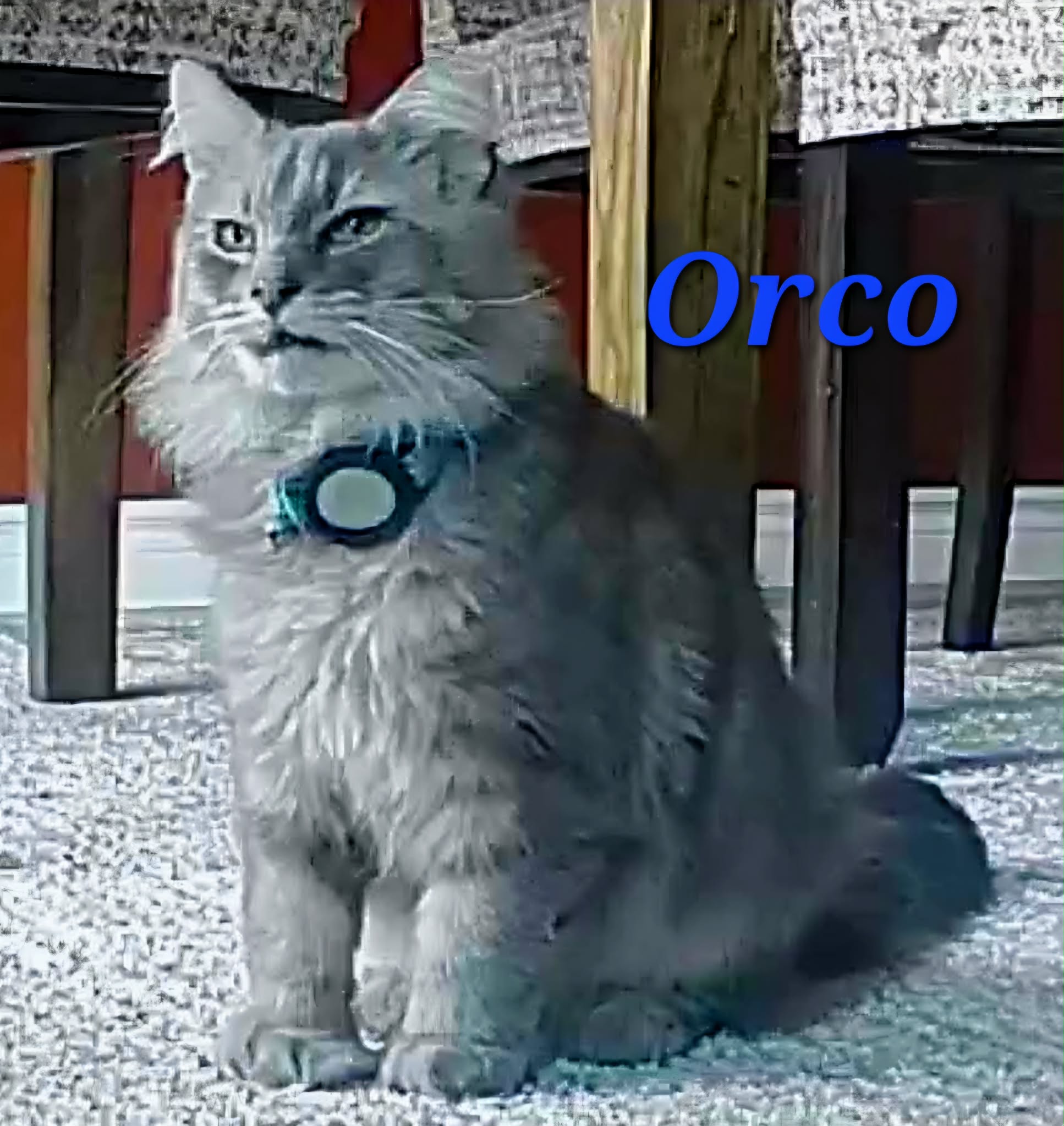 Orco