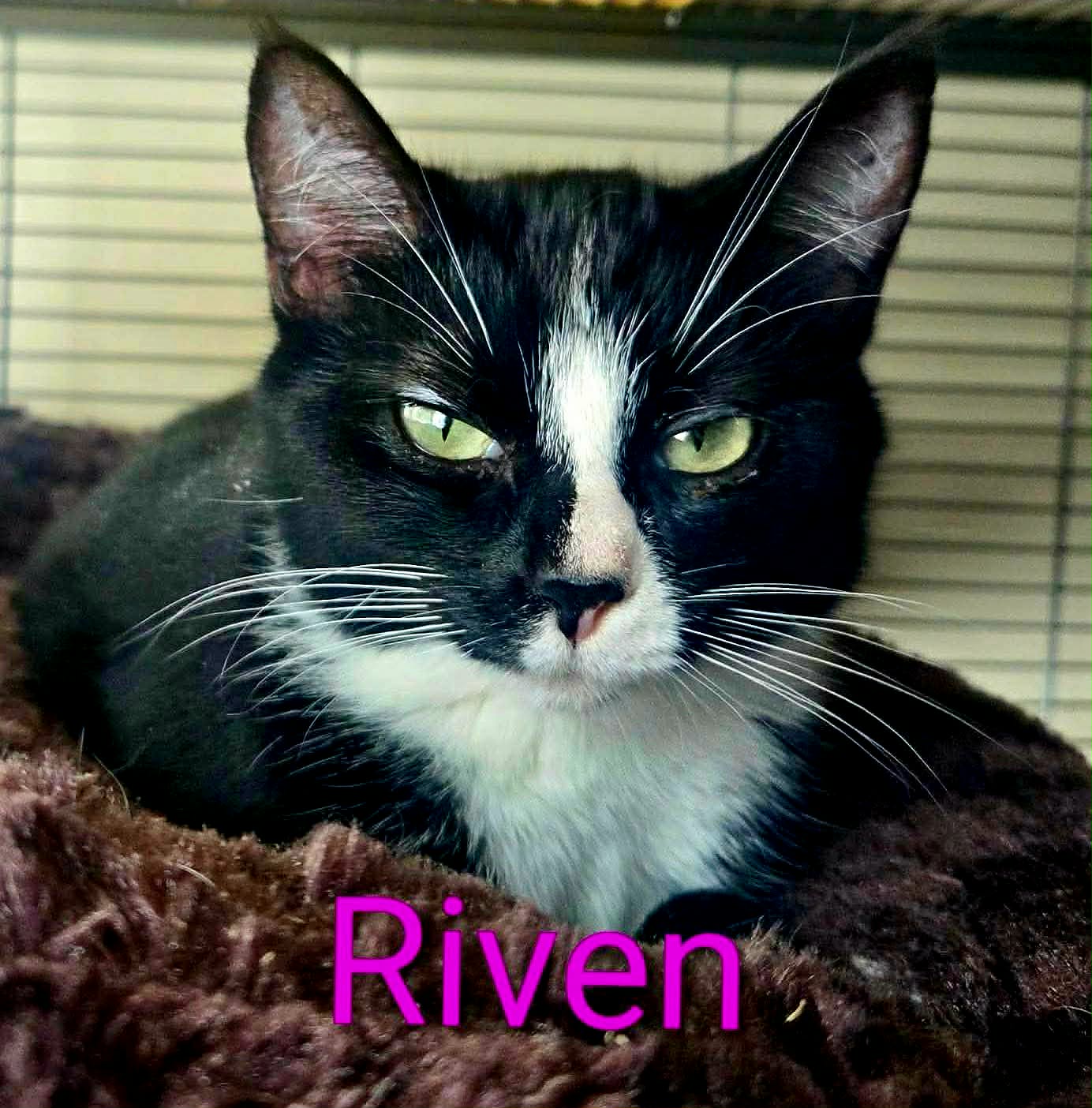 Riven