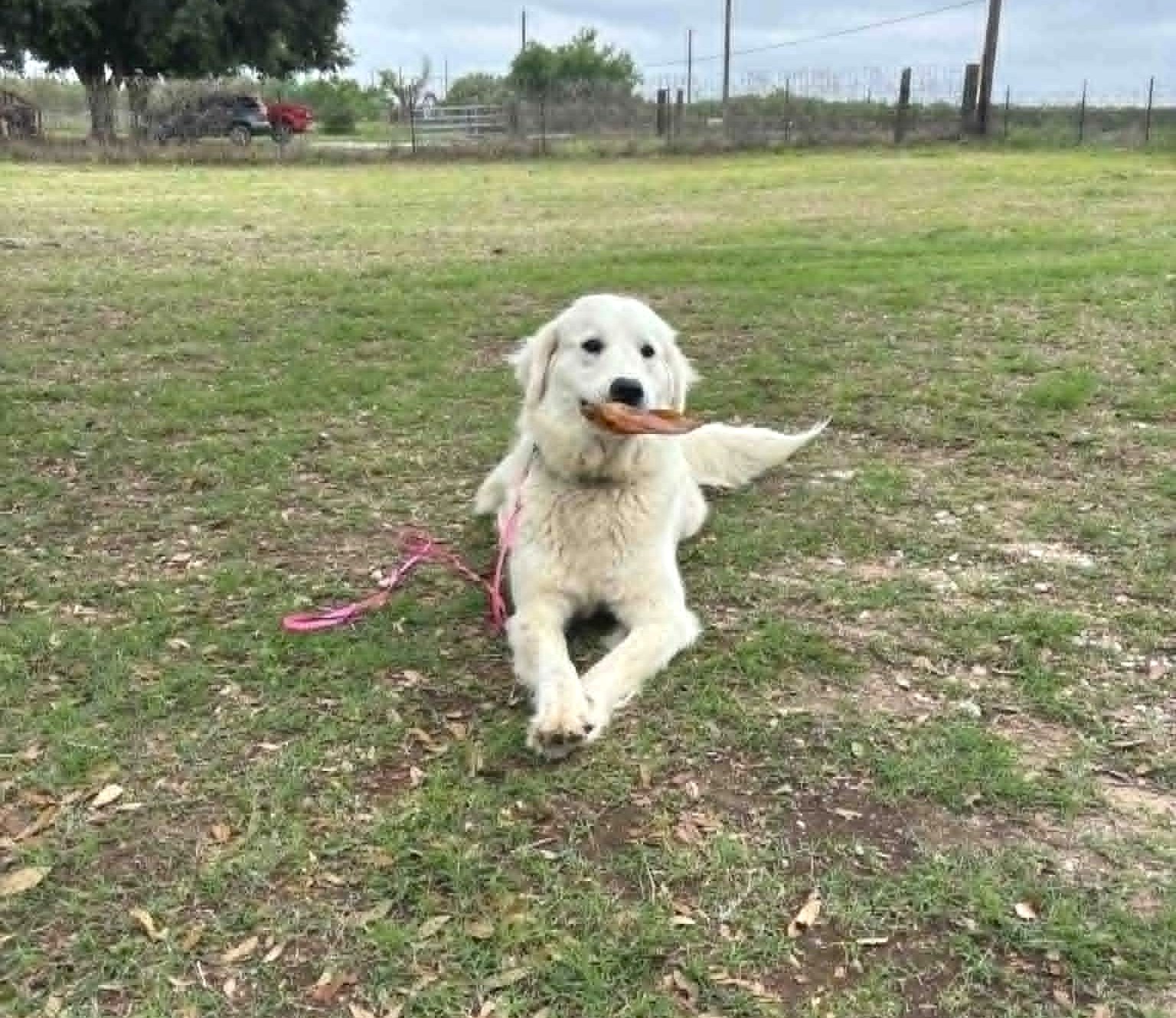 Delilah