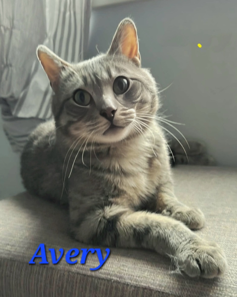 Avery
