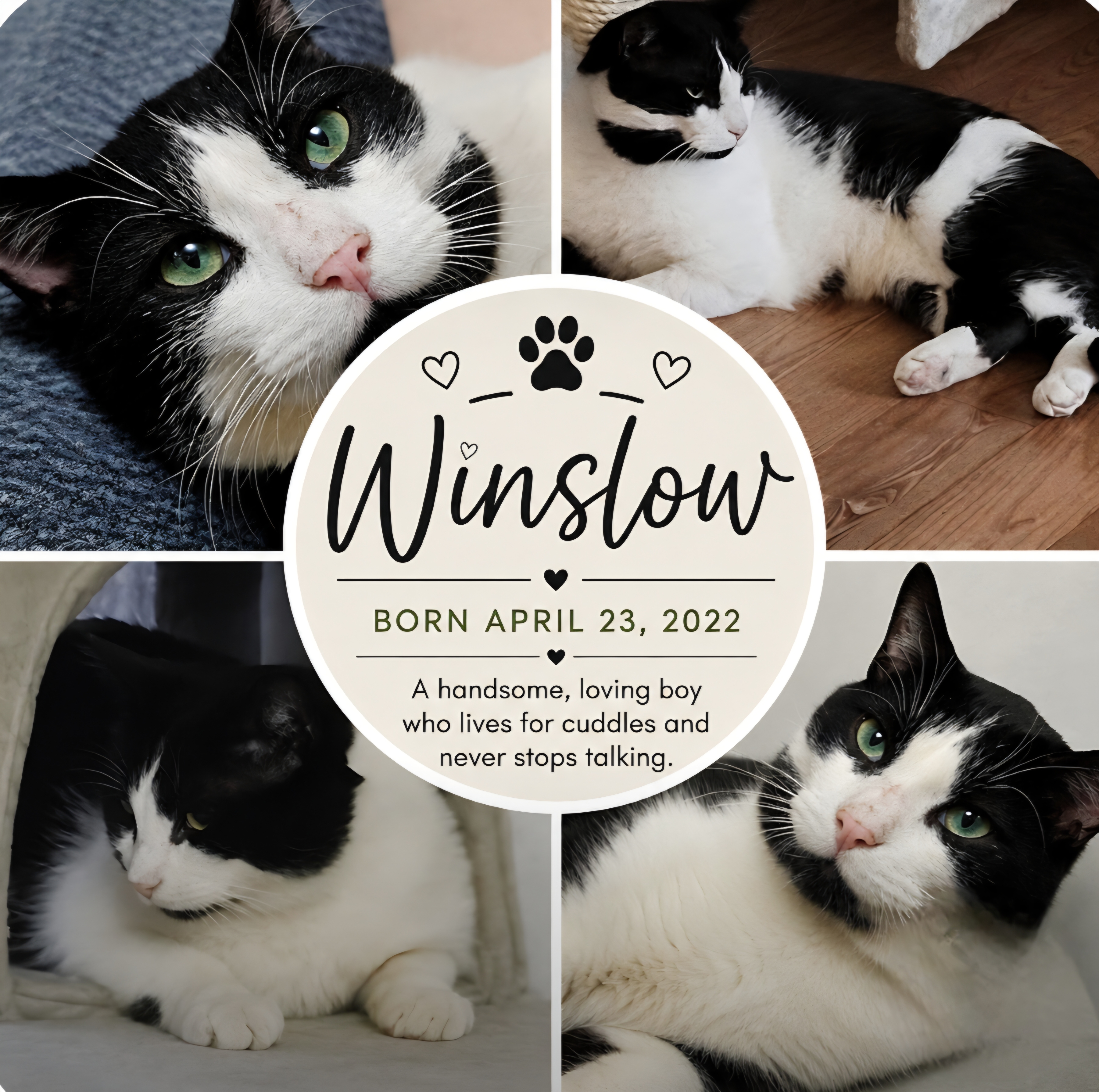 Winslow