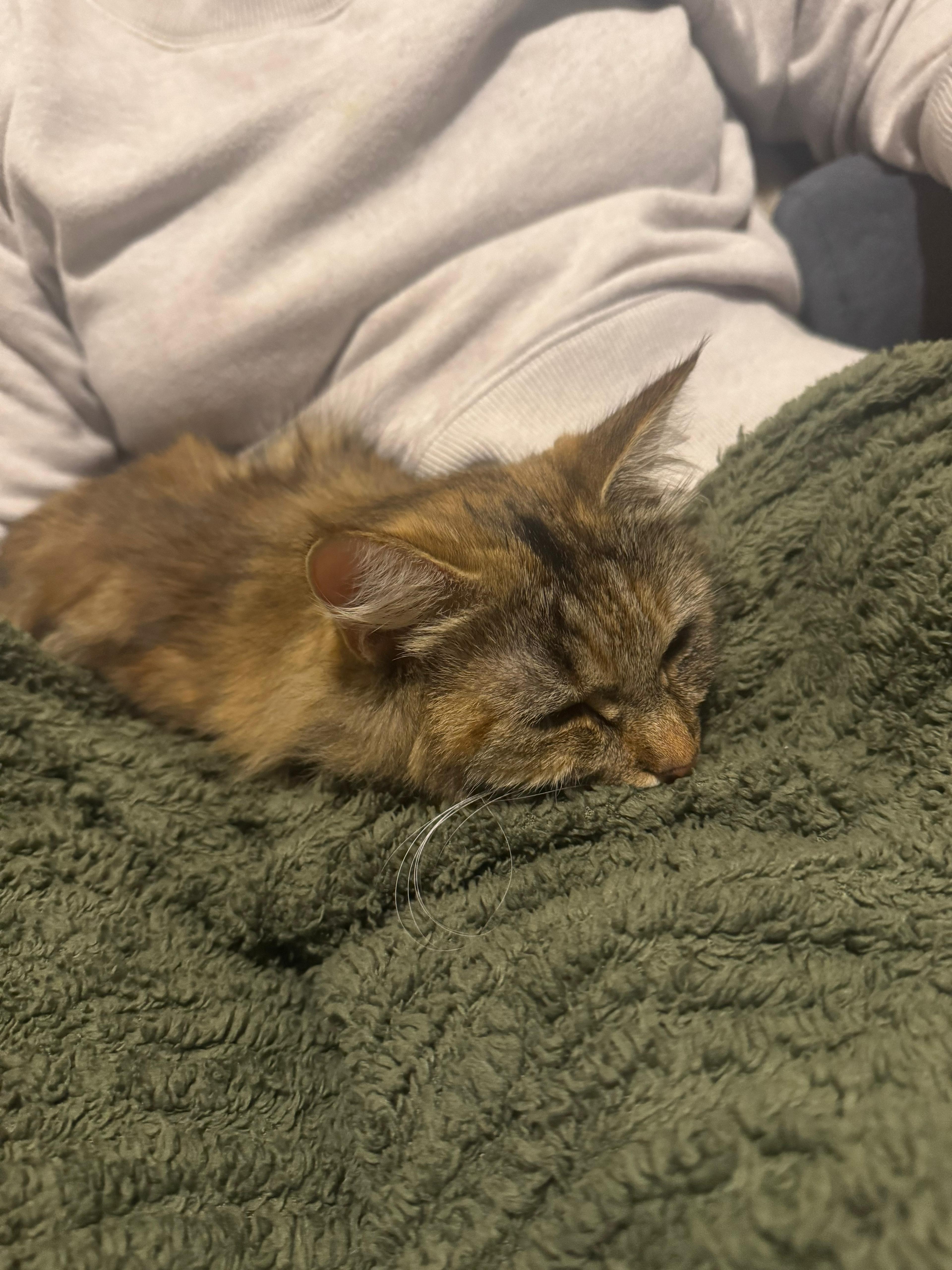 Coco