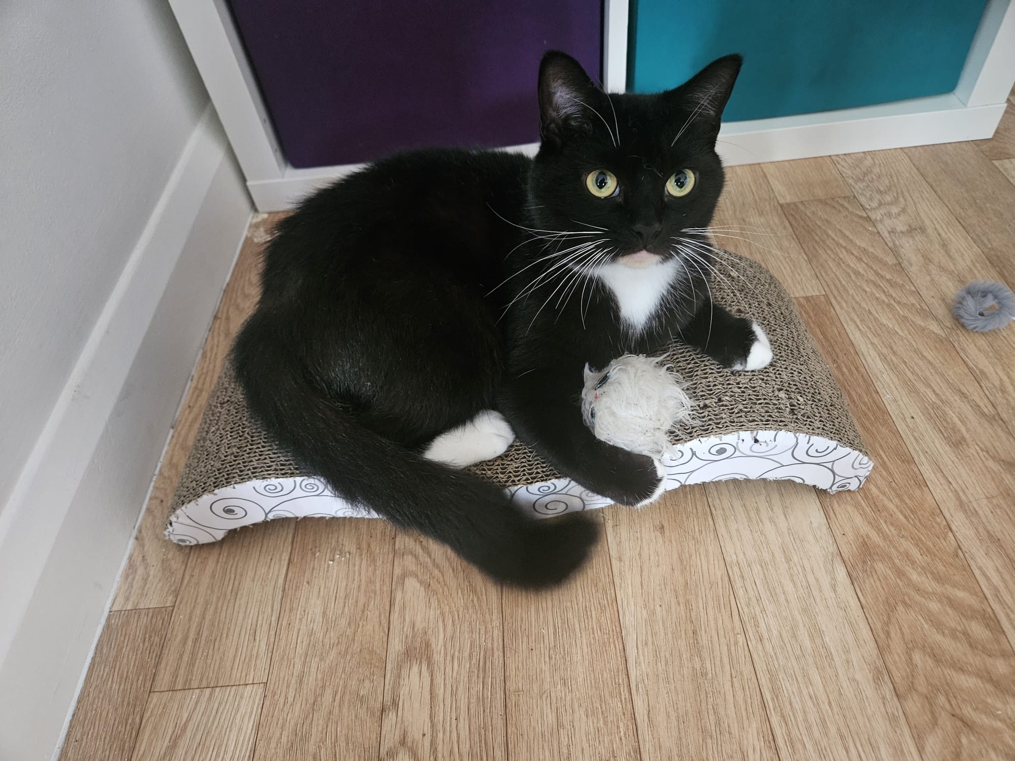 Luna