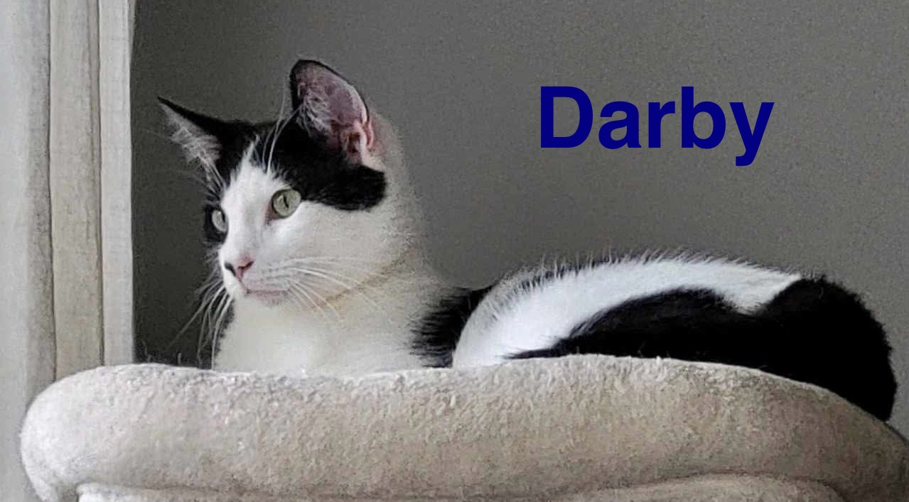 Darby