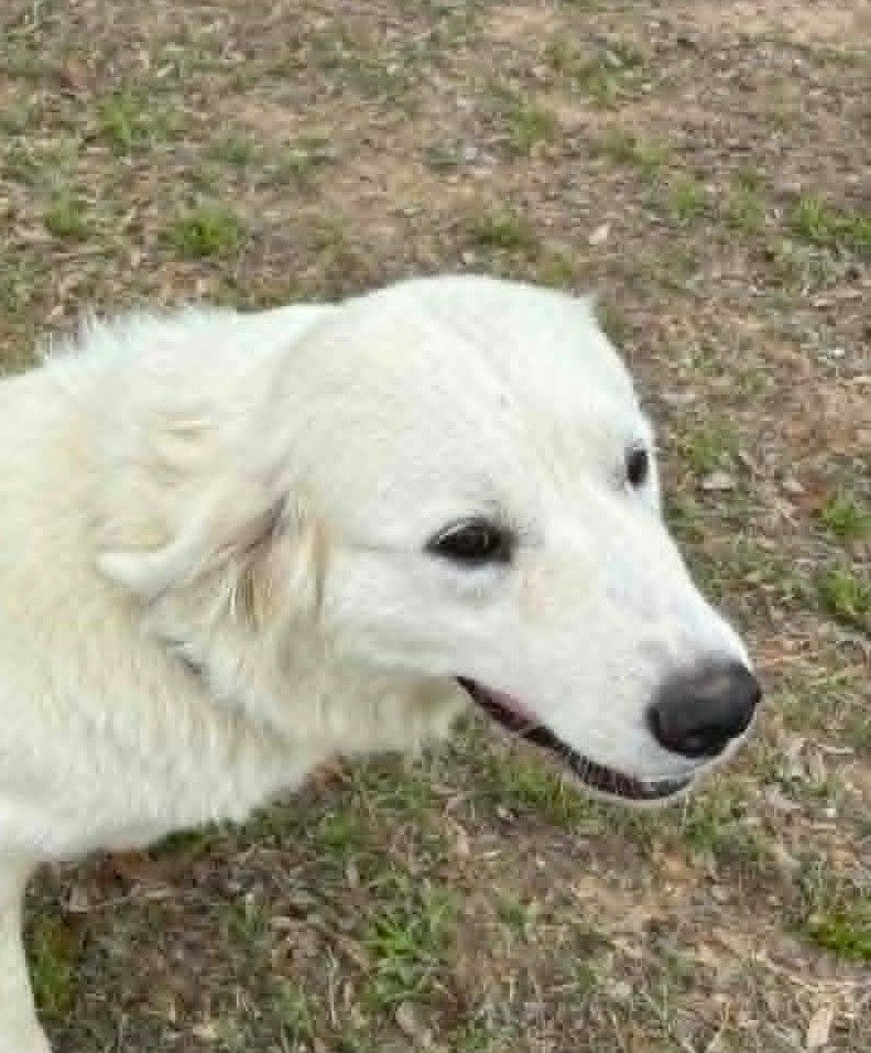 Delilah