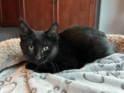 Luna fka Esme