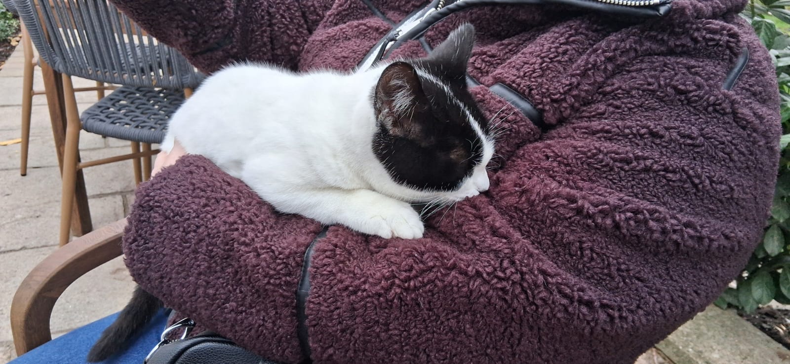 Smudge