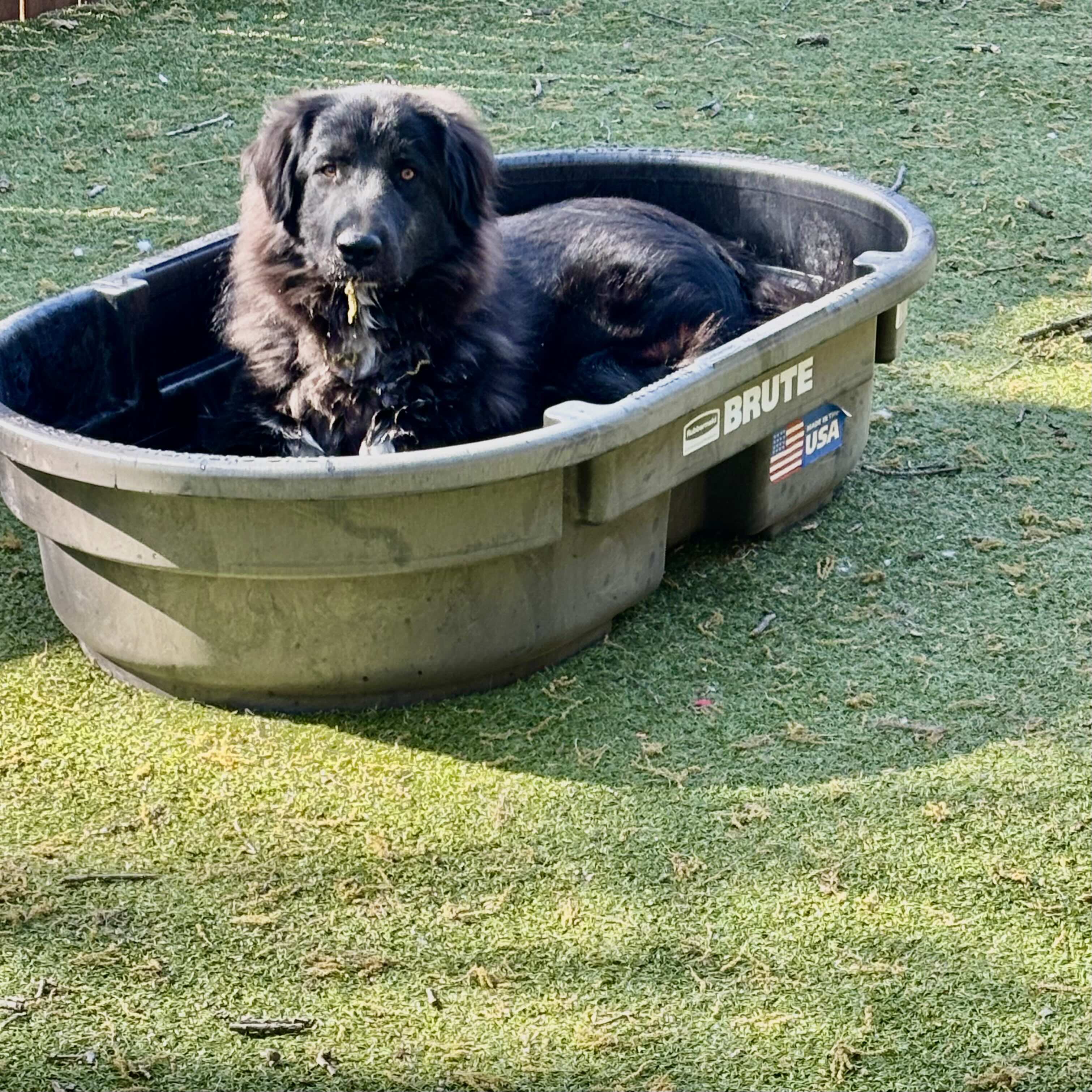 Zig Zag Ziggy FKA Sammy Hagar